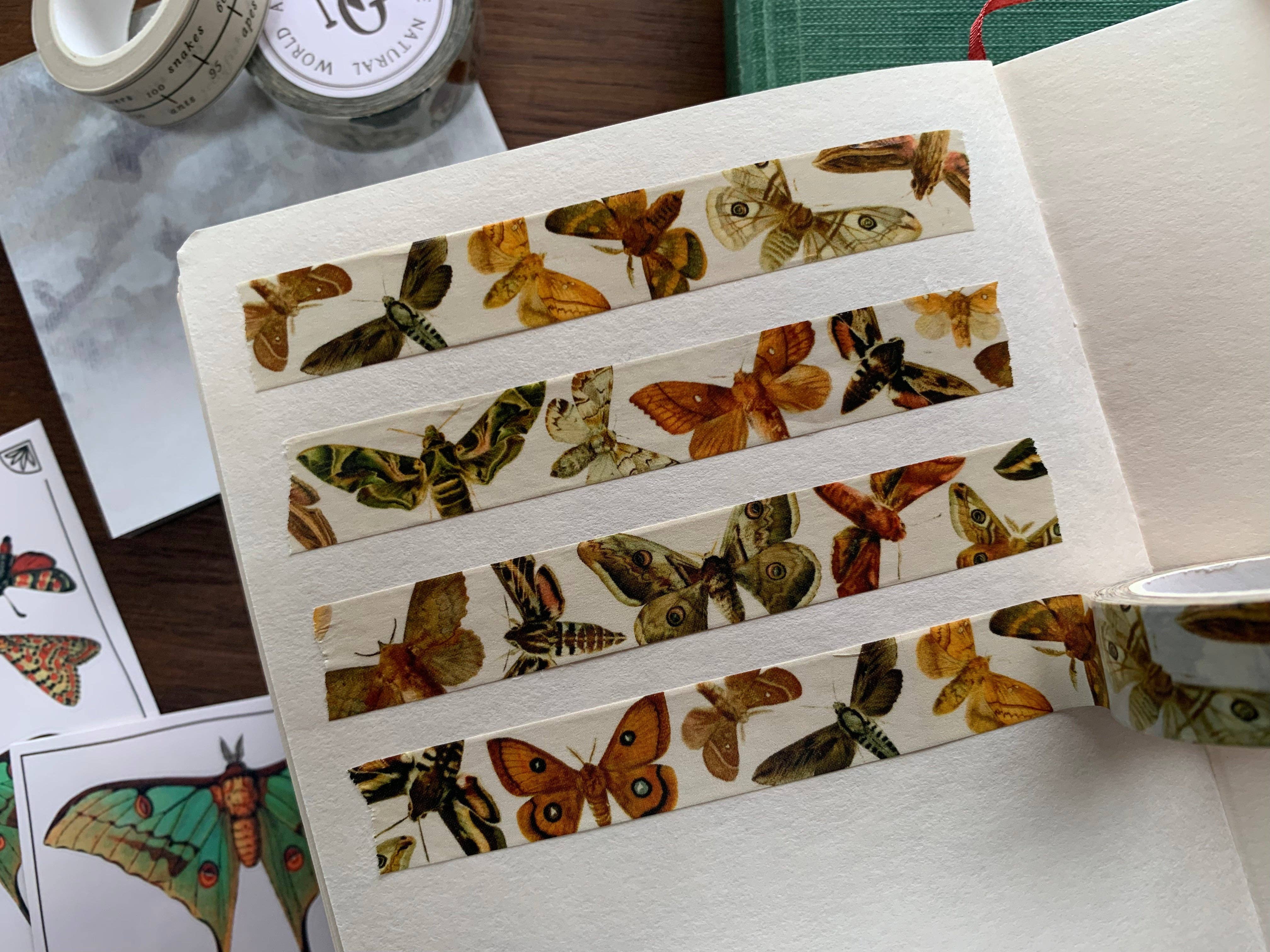 Moths Entomology Washi Tape