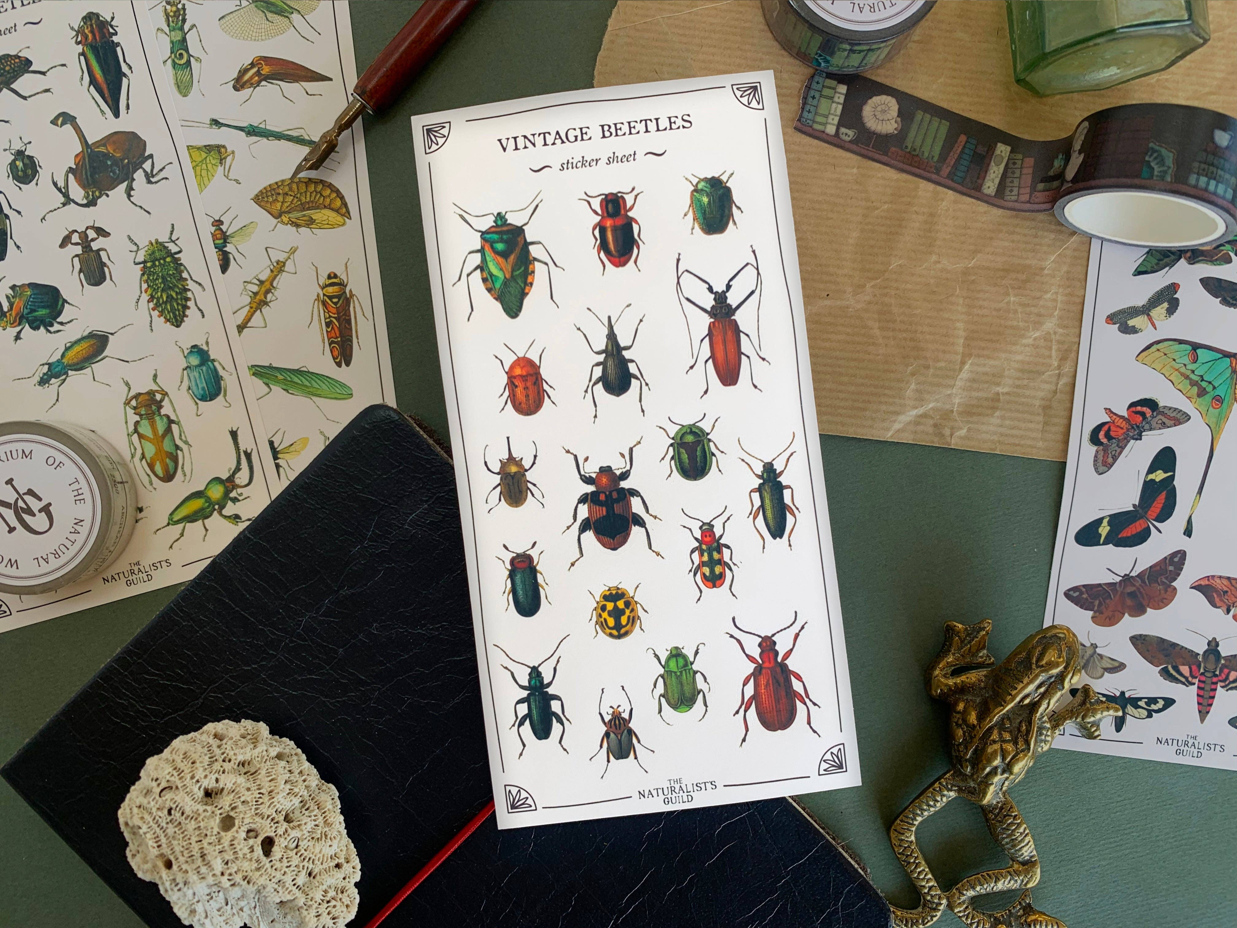 Vintage Beetles Sticker Sheet
