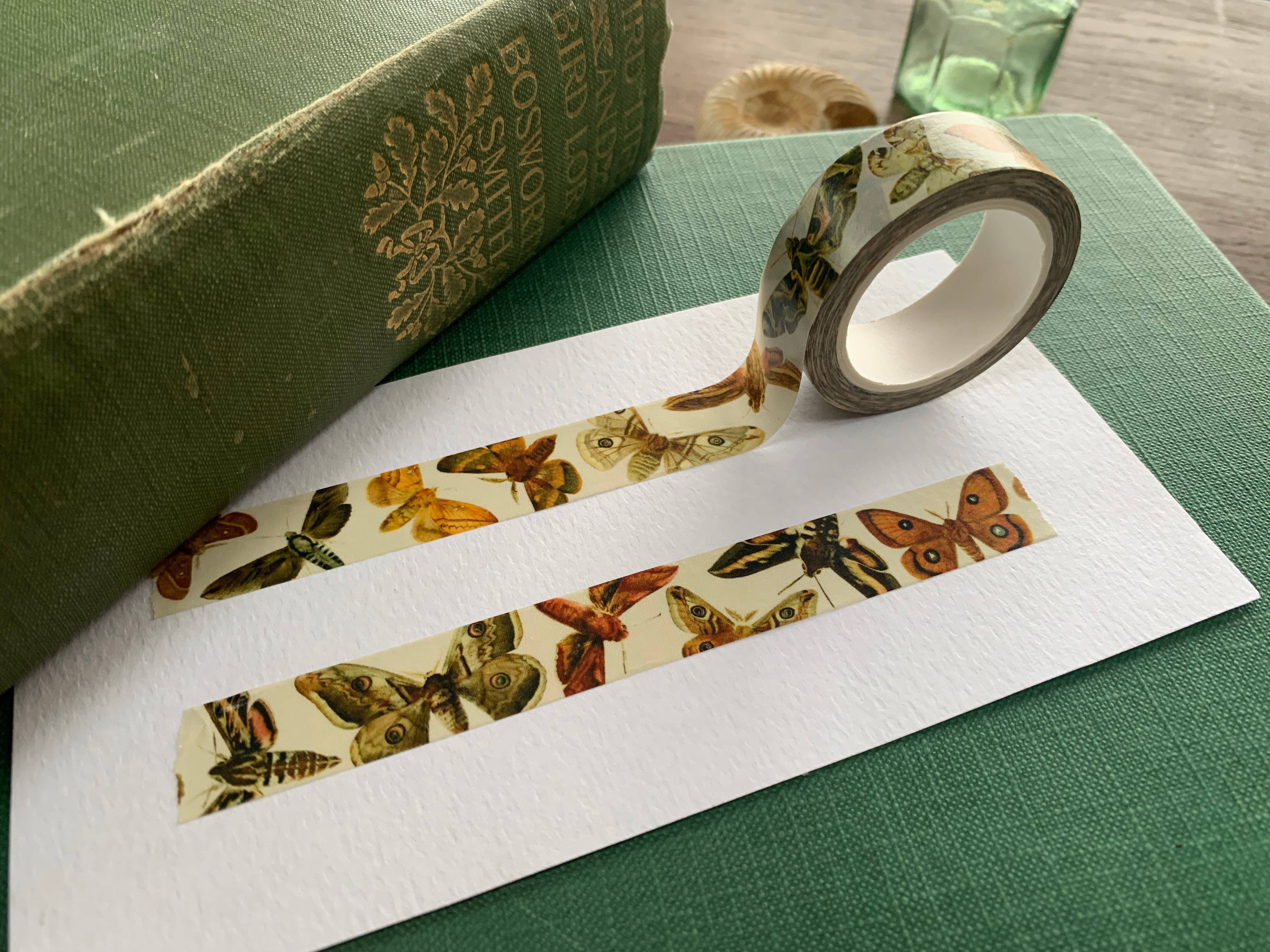 Moths Entomology Washi Tape