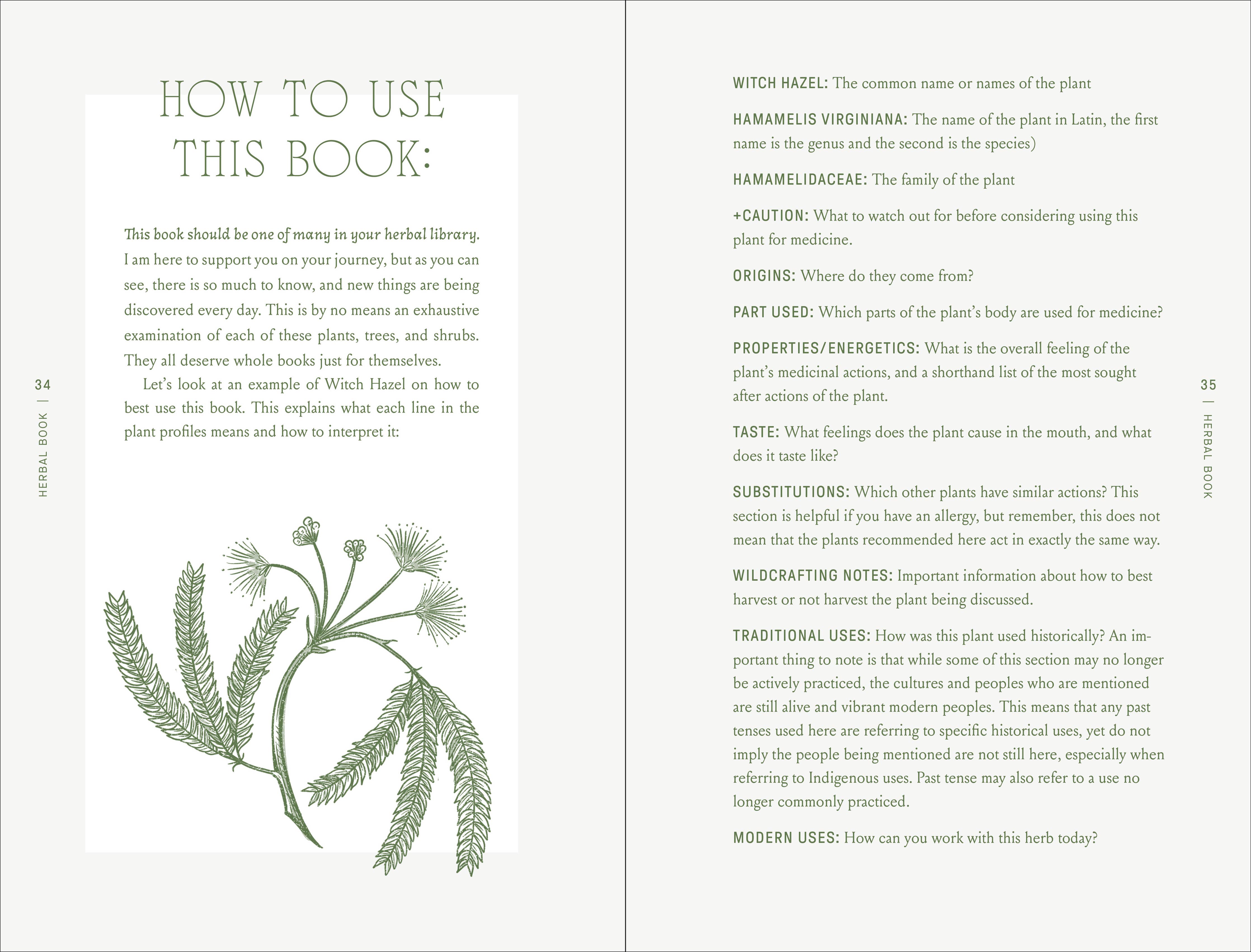 The Complete Folk Herbal: An Illustrated Guide to Natural Remedies and Everyday Healing