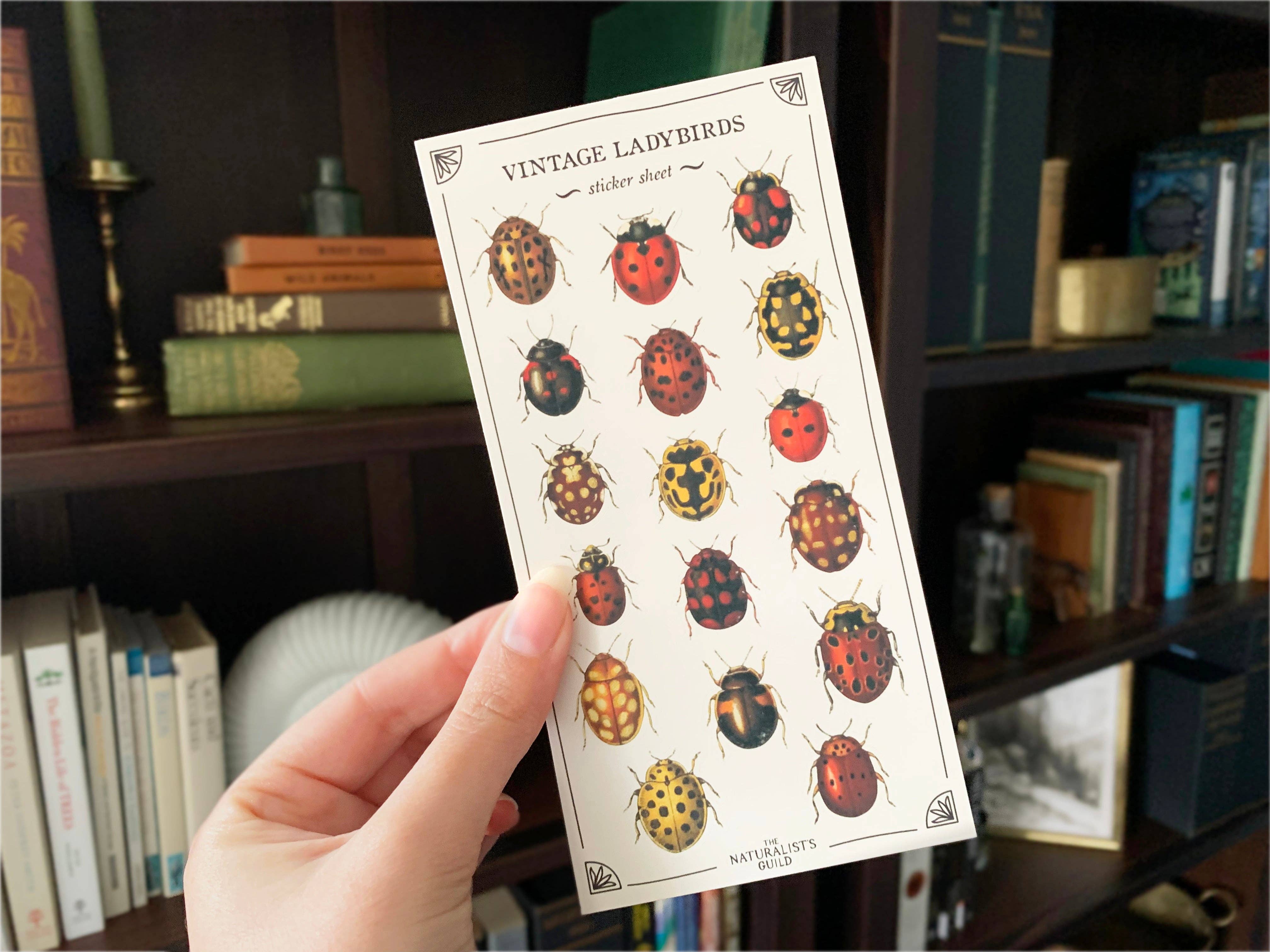 Vintage Ladybirds Sticker Sheet