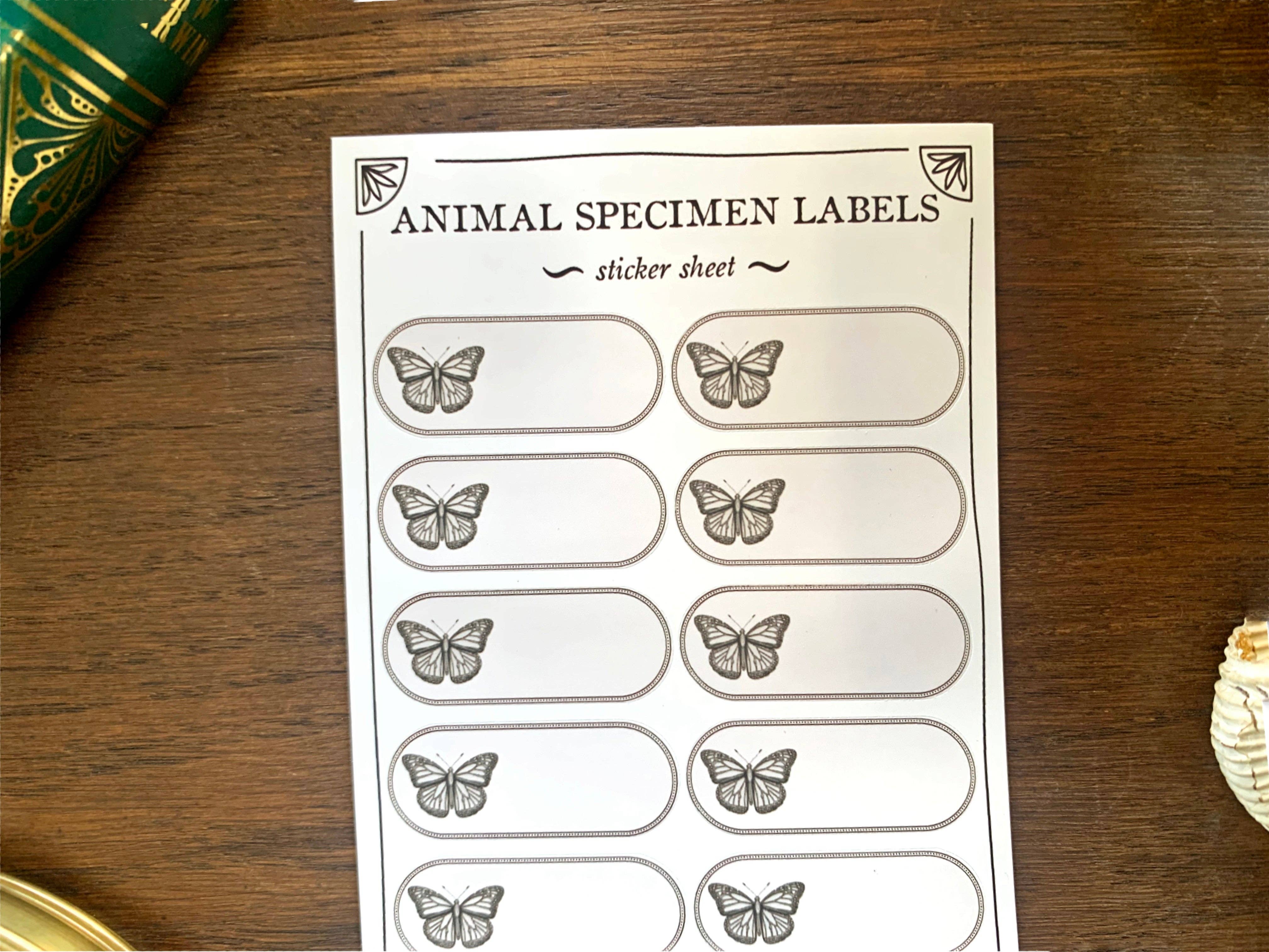 Insect/Animal Specimen Label Sheet