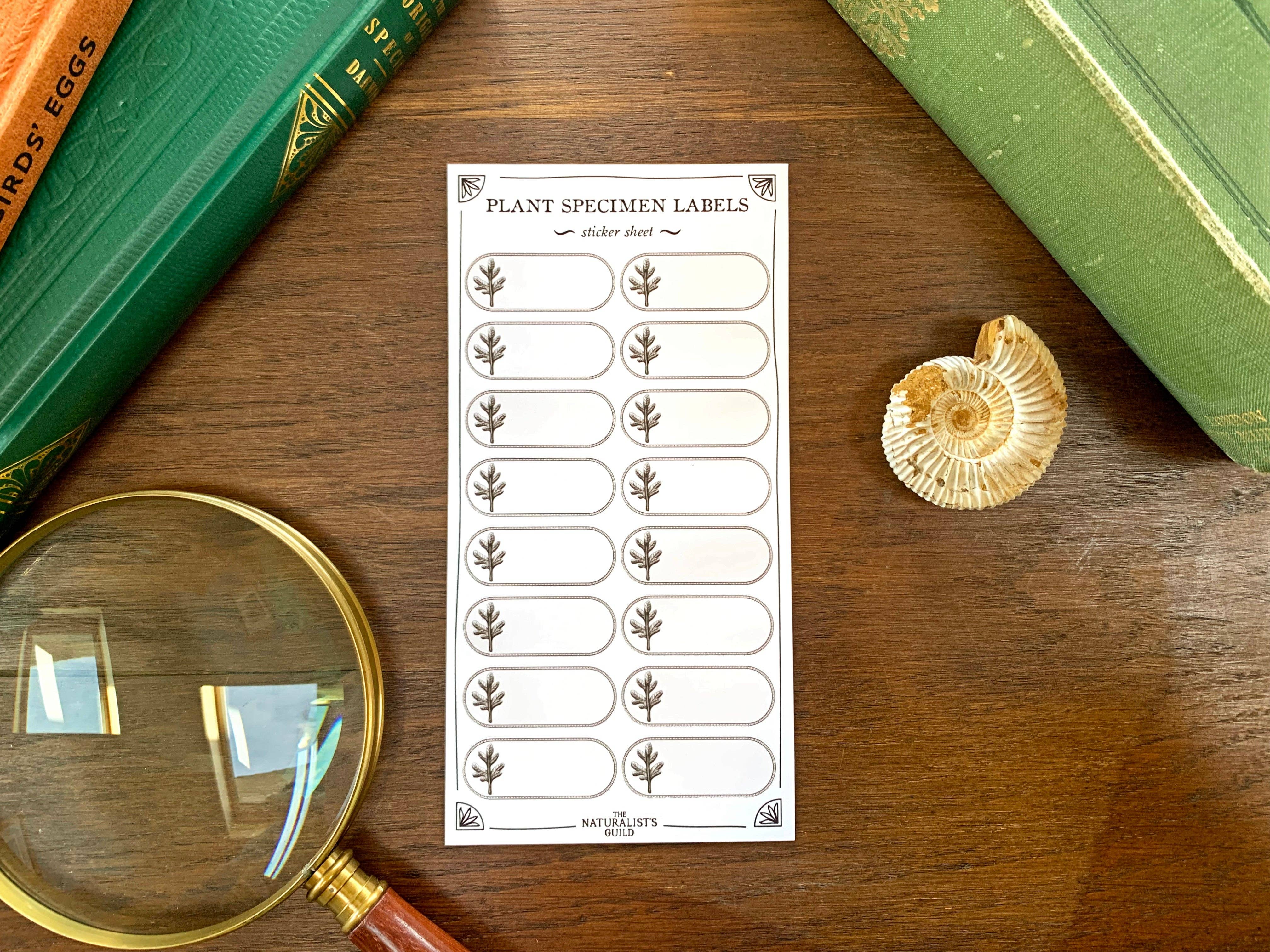 Plant Specimen Label Sheet