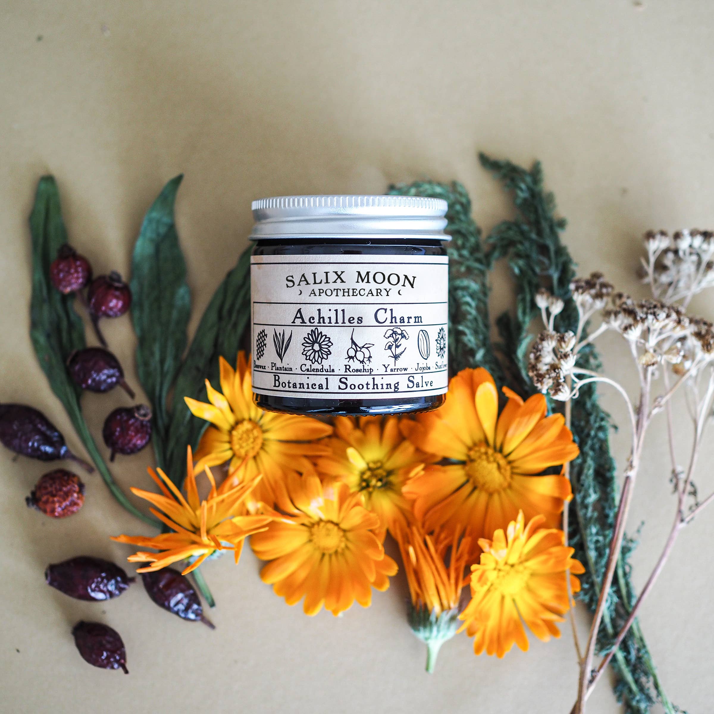 Botanical Healing Salve | Calendula, Yarrow, Plantain