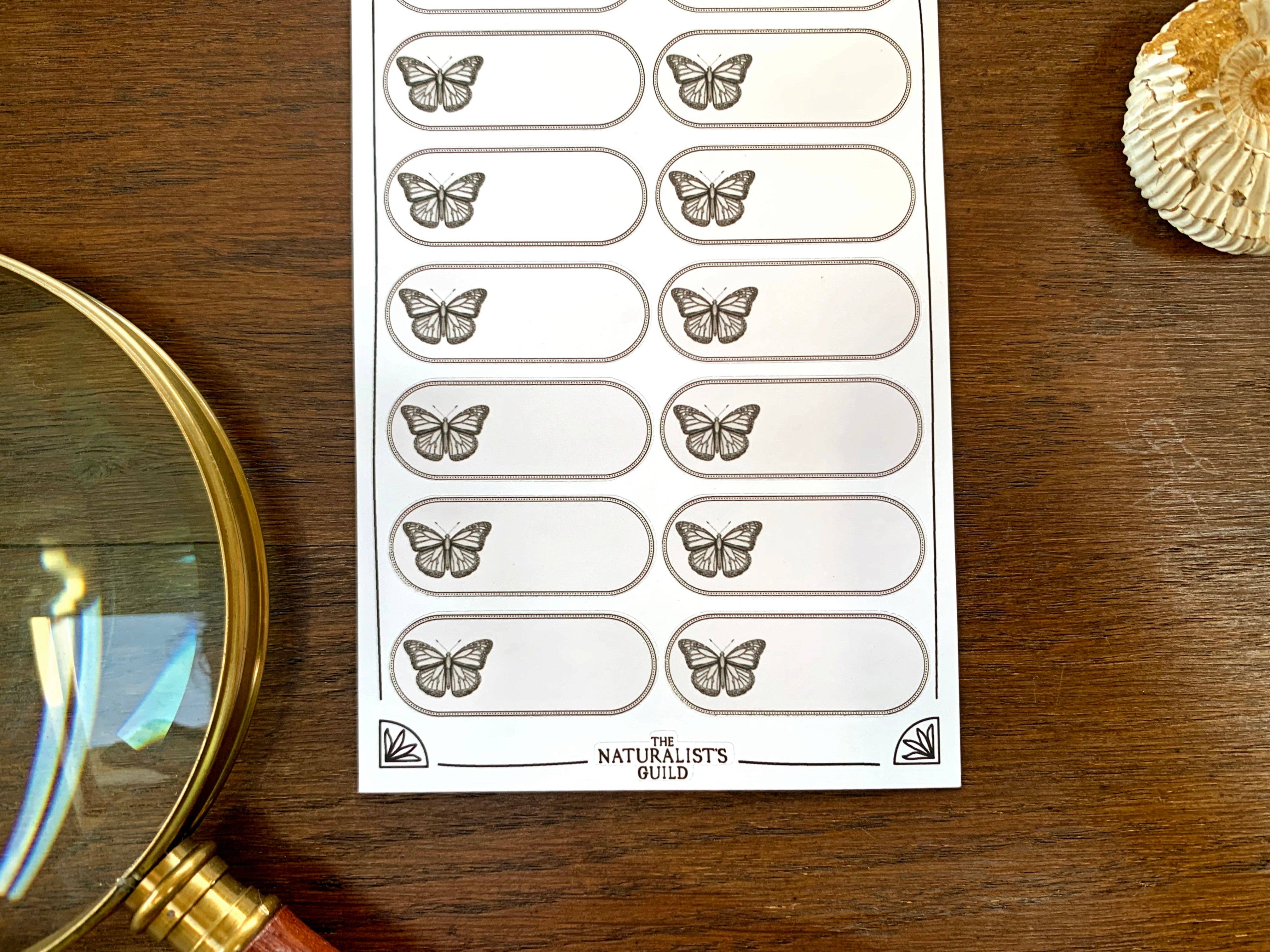 Insect/Animal Specimen Label Sheet