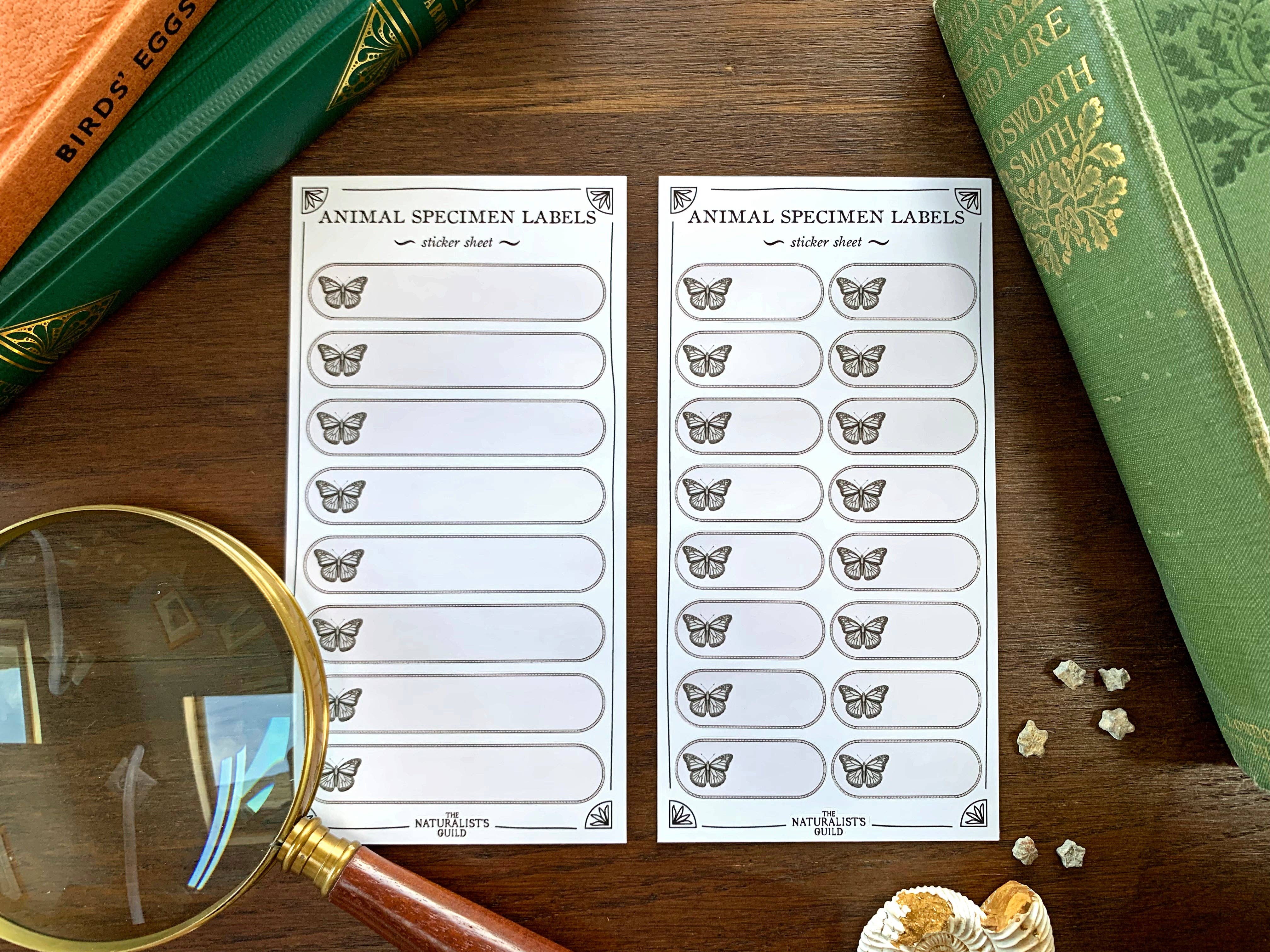 Insect/Animal Specimen Label Sheet