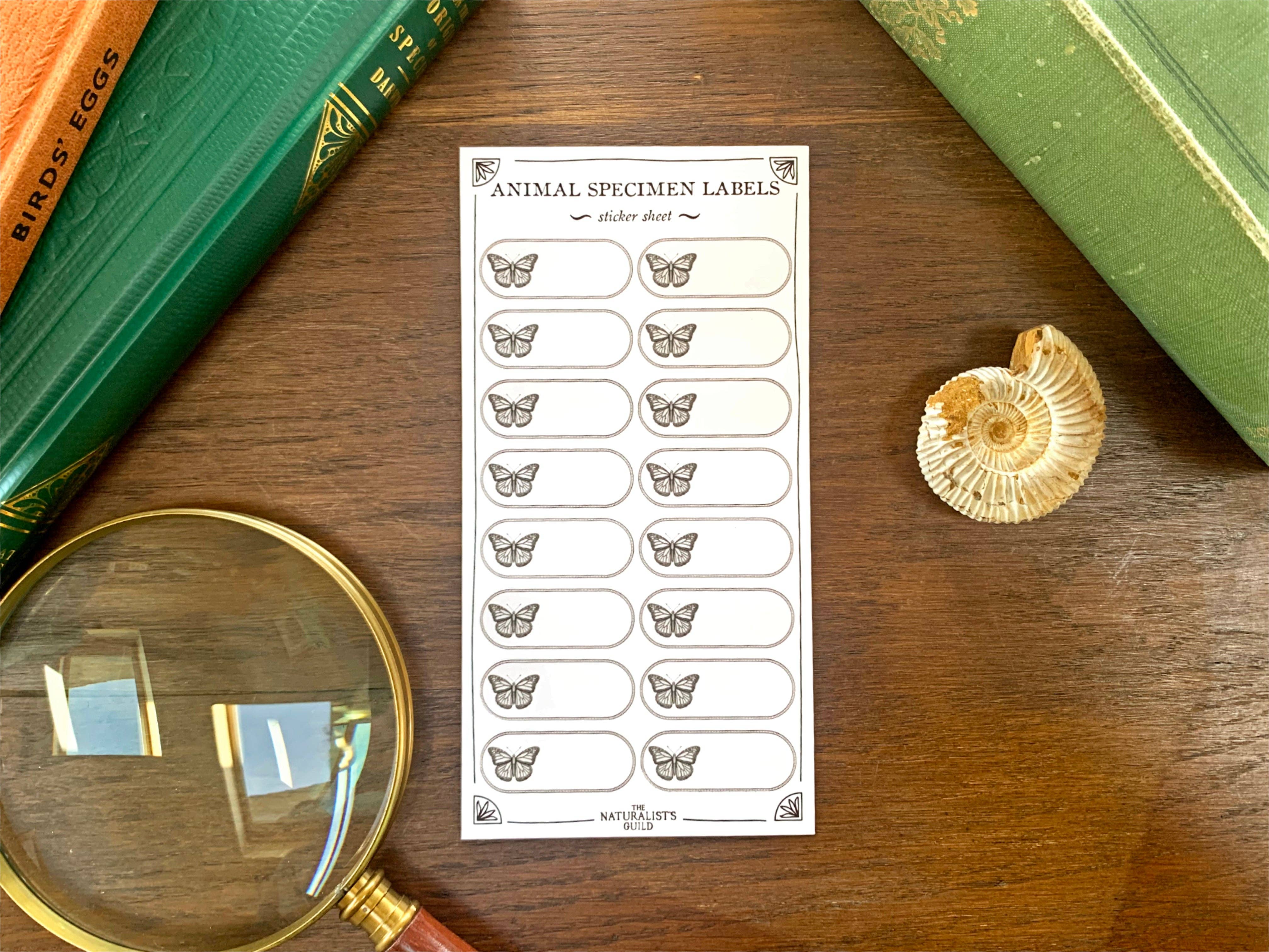 Insect/Animal Specimen Label Sheet