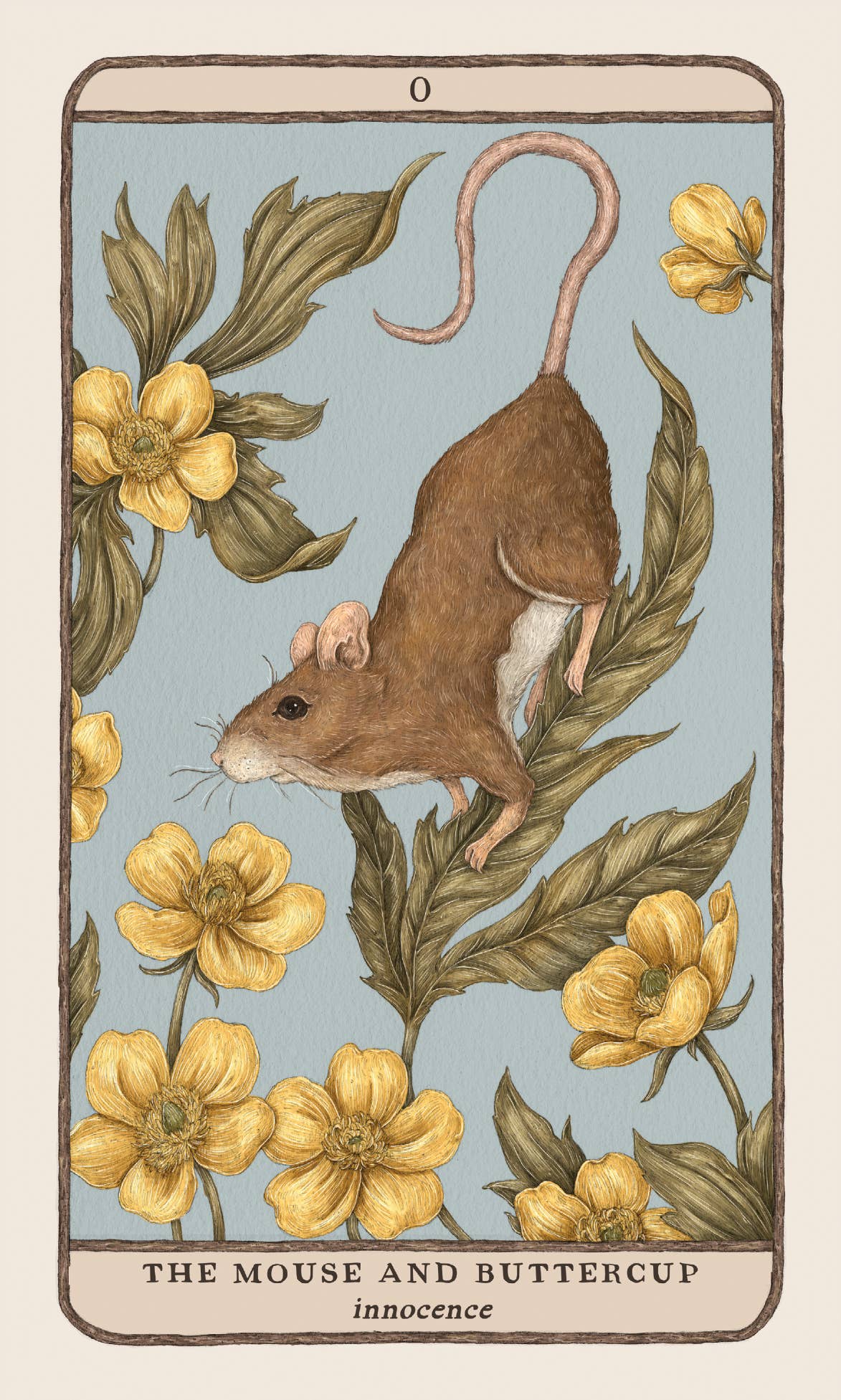 Woodland Wardens Oracle Deck