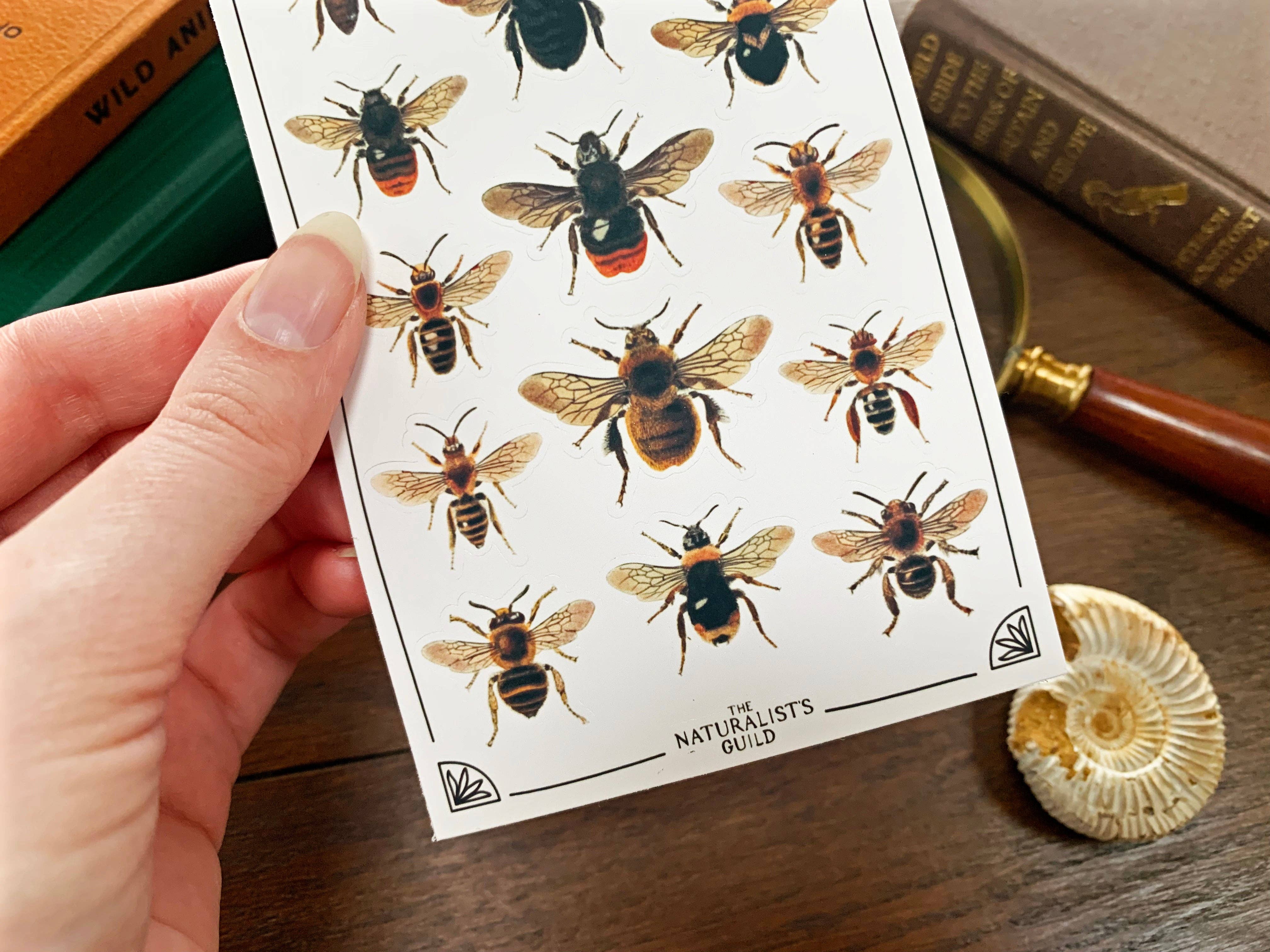 Vintage Bees Sticker Sheet
