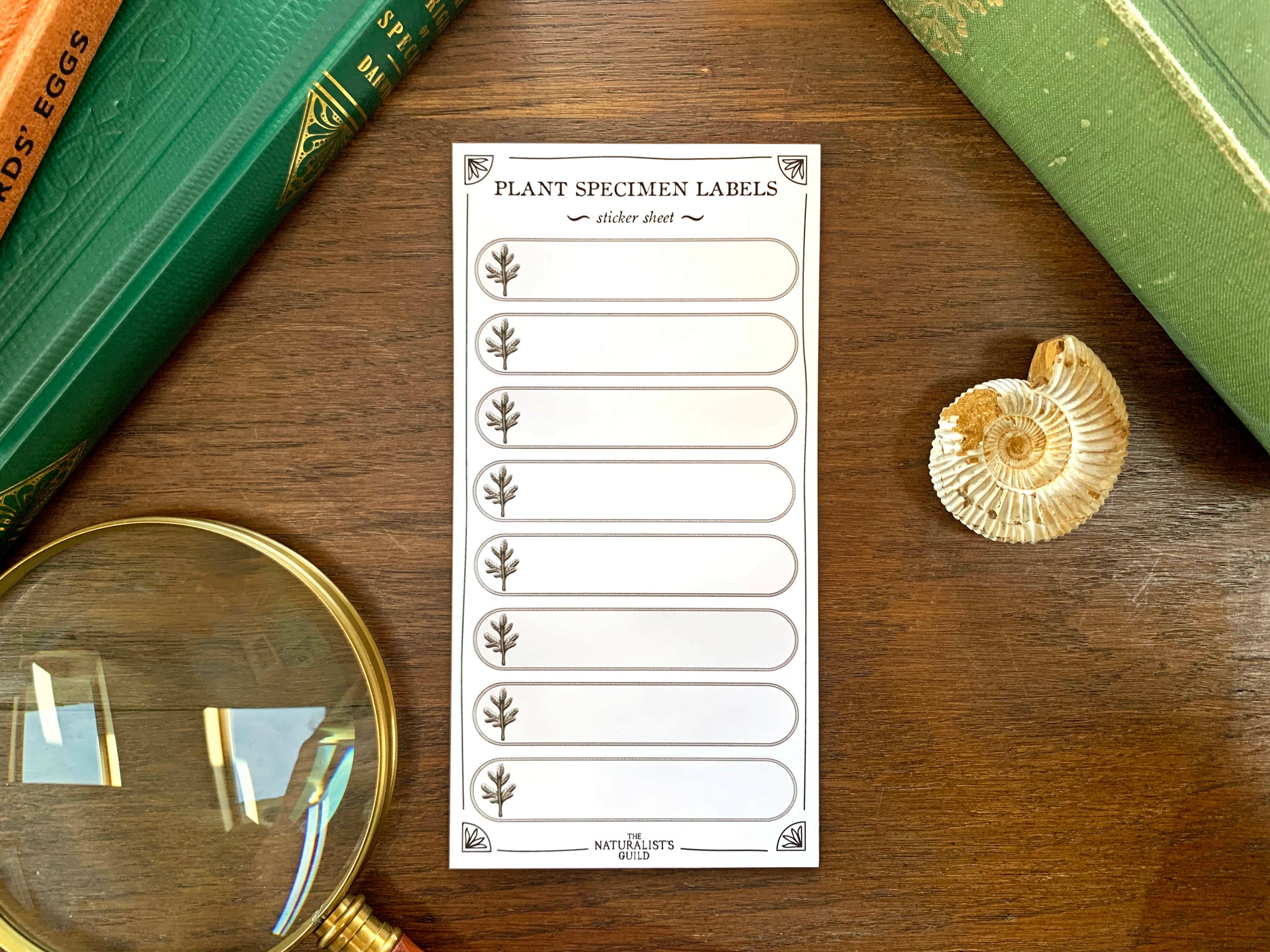 Plant Specimen Label Sheet