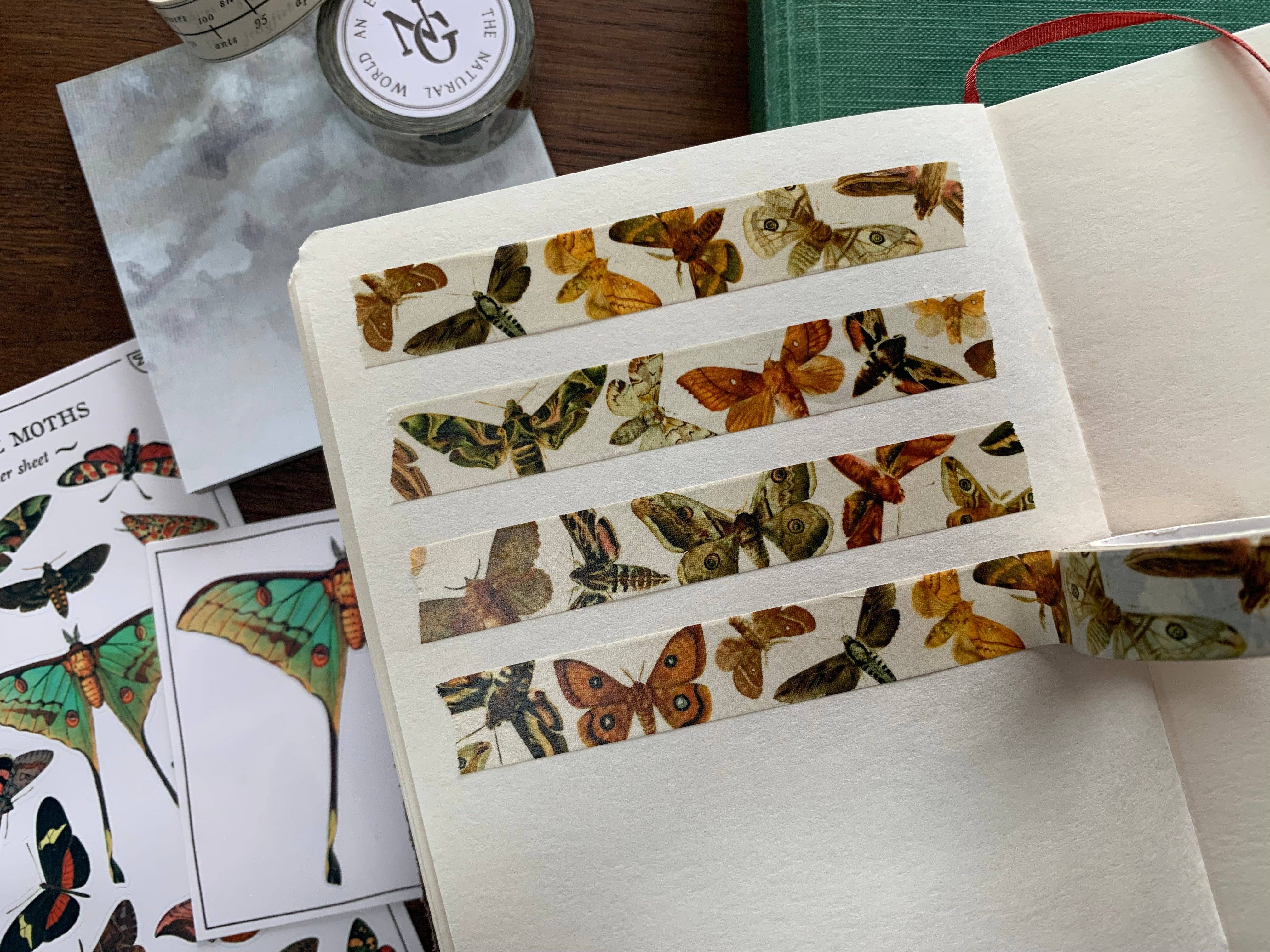 Moths Entomology Washi Tape
