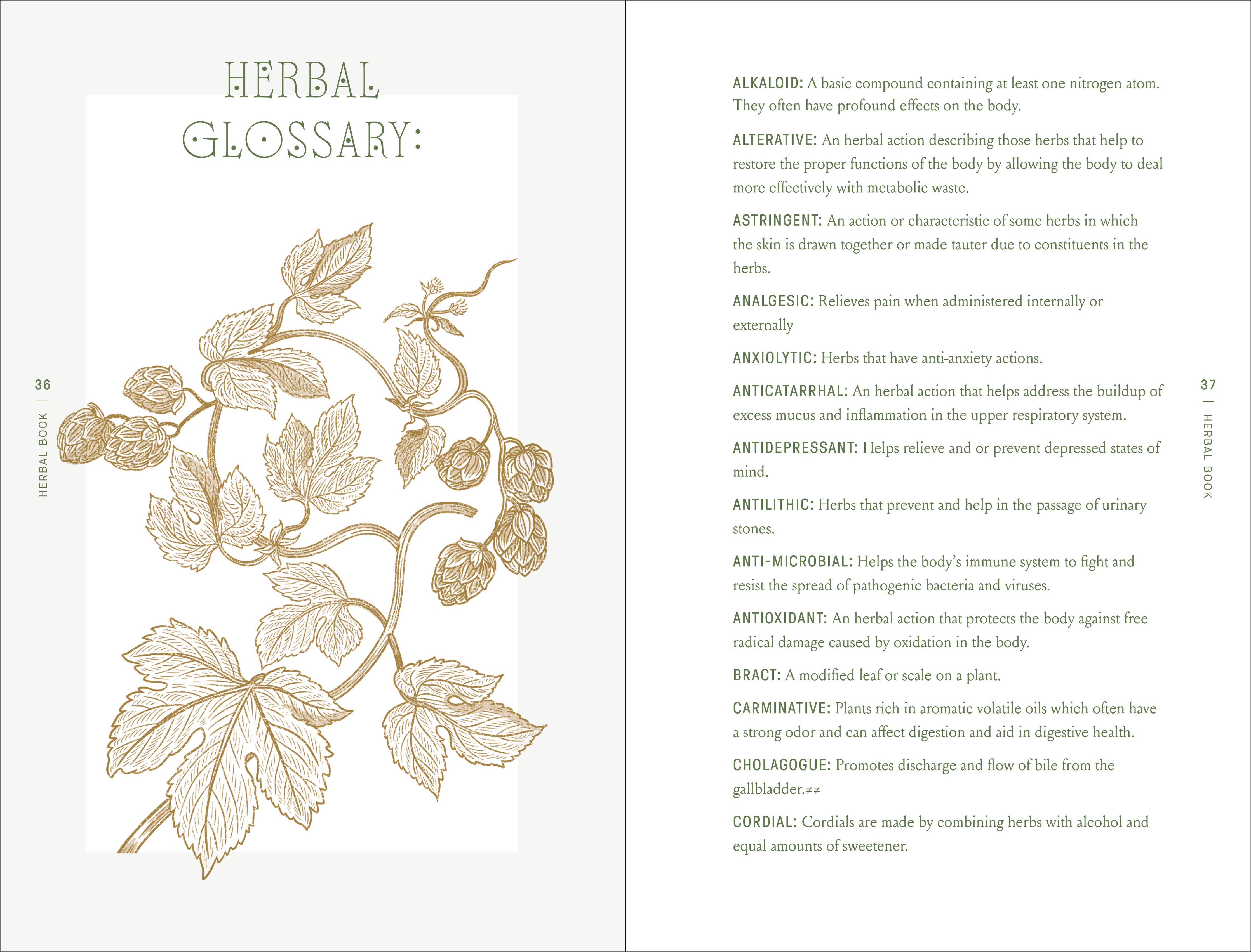 The Complete Folk Herbal: An Illustrated Guide to Natural Remedies and Everyday Healing