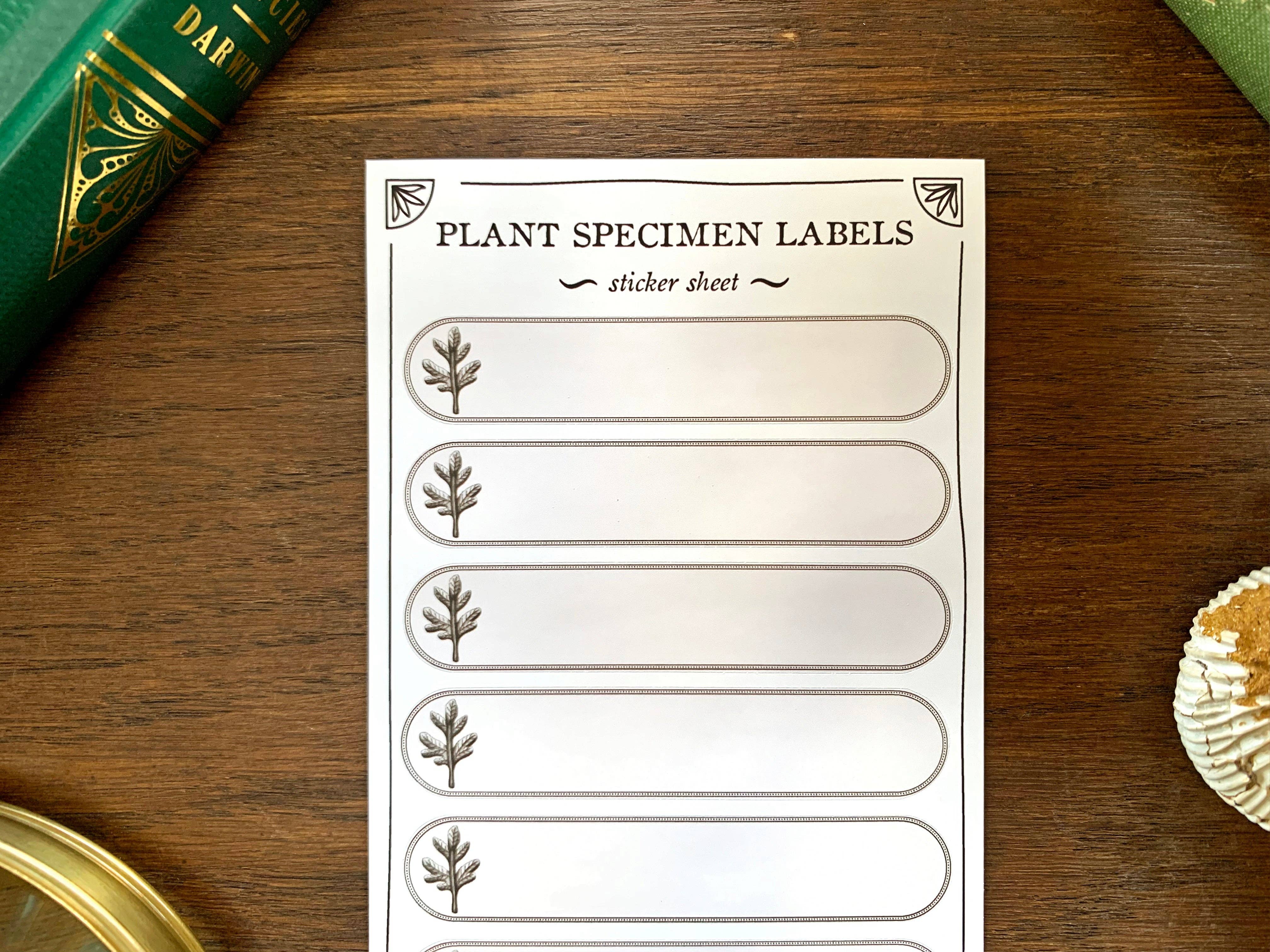 Plant Specimen Label Sheet