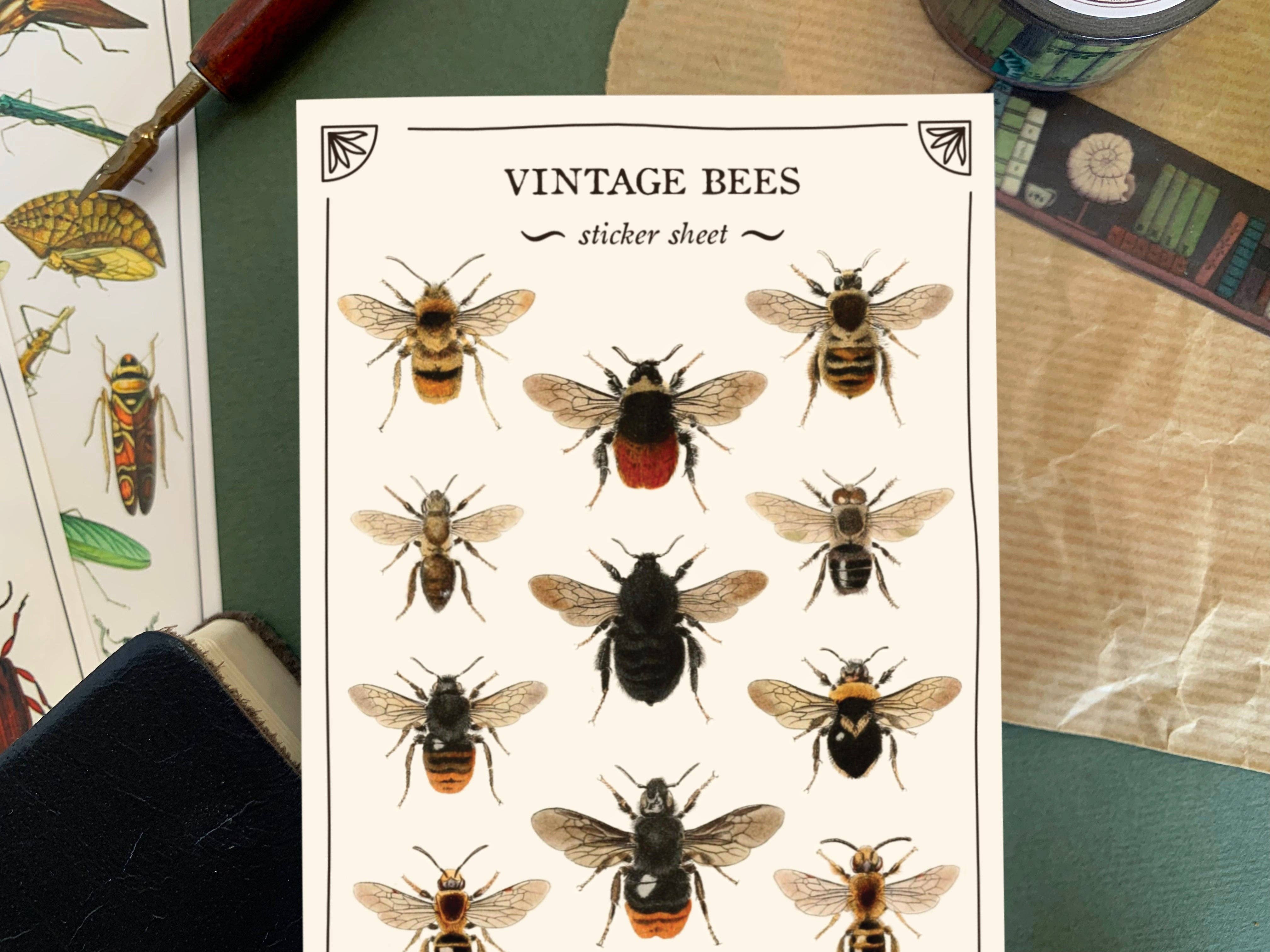 Vintage Bees Sticker Sheet