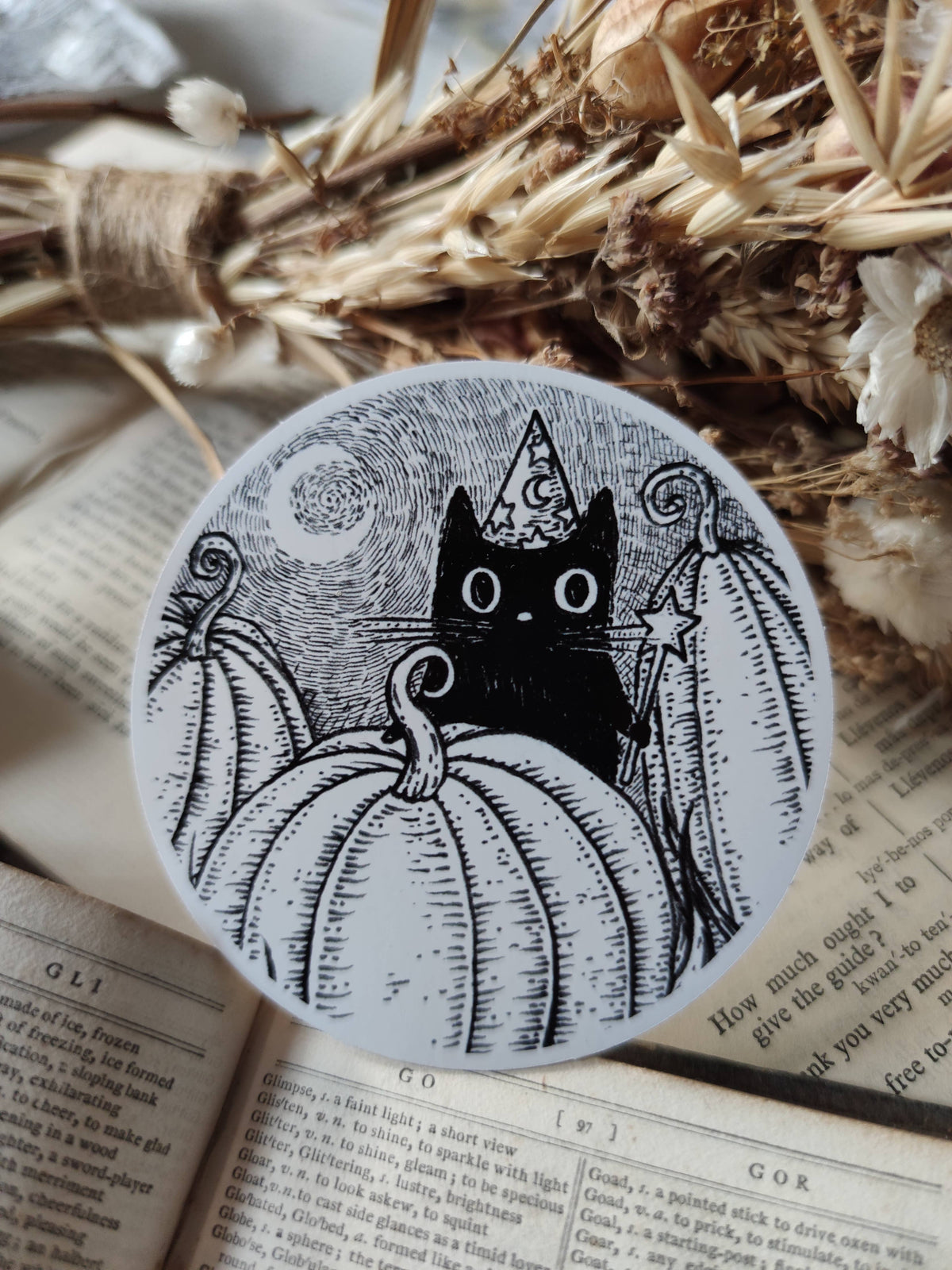 Pumpkin Wizard- Black Cat Vinyl Sticker