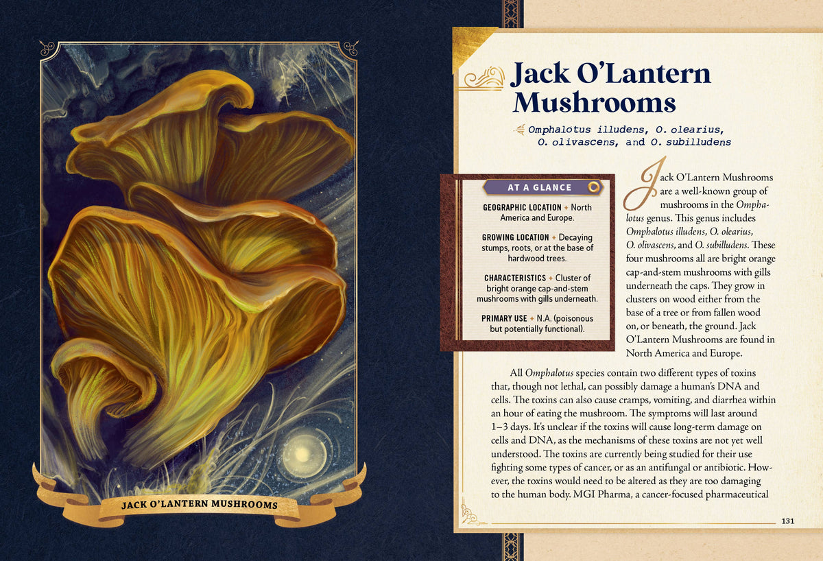 Little Book of Mushrooms