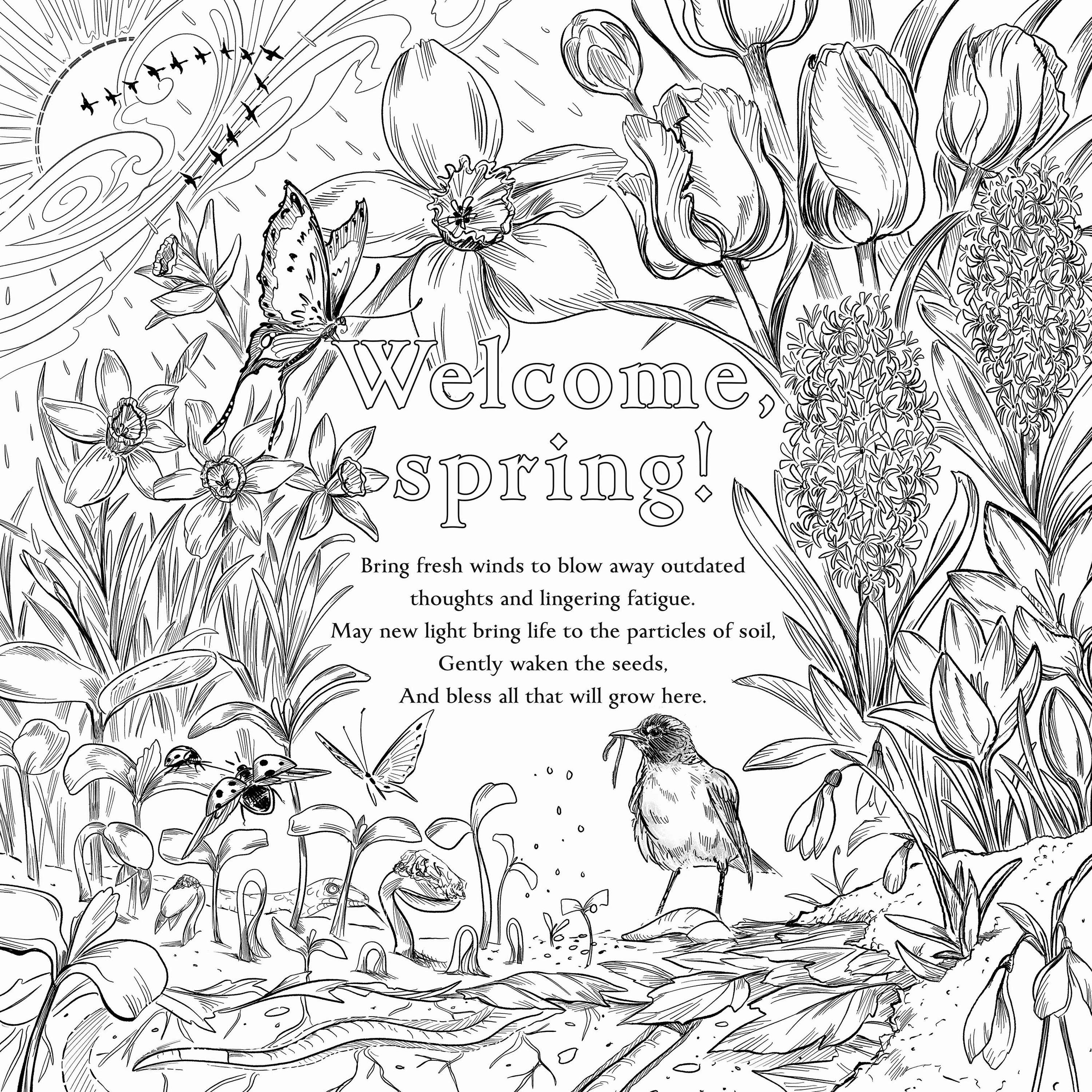 Green Witch's Coloring Book