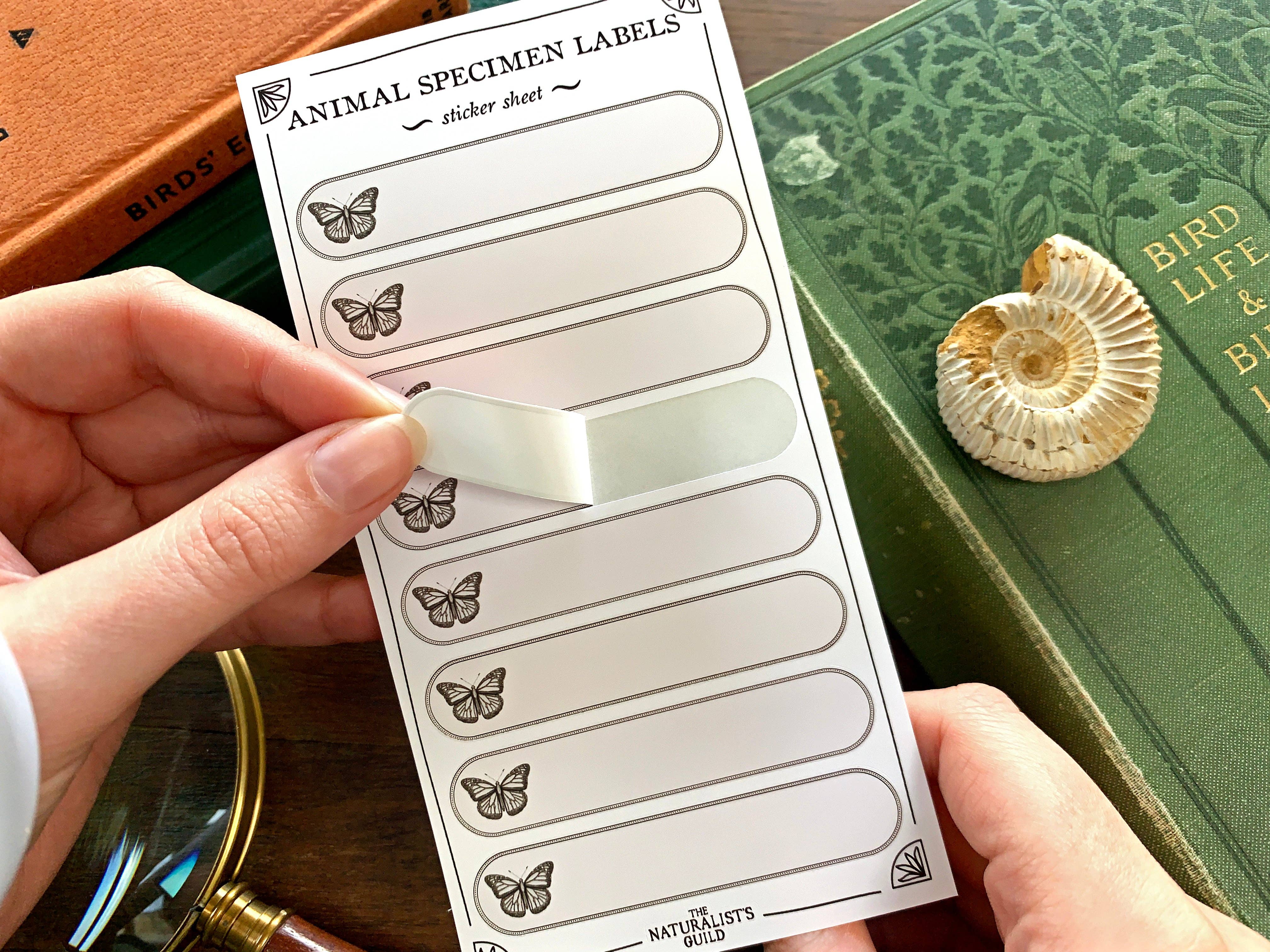 Insect/Animal Specimen Label Sheet