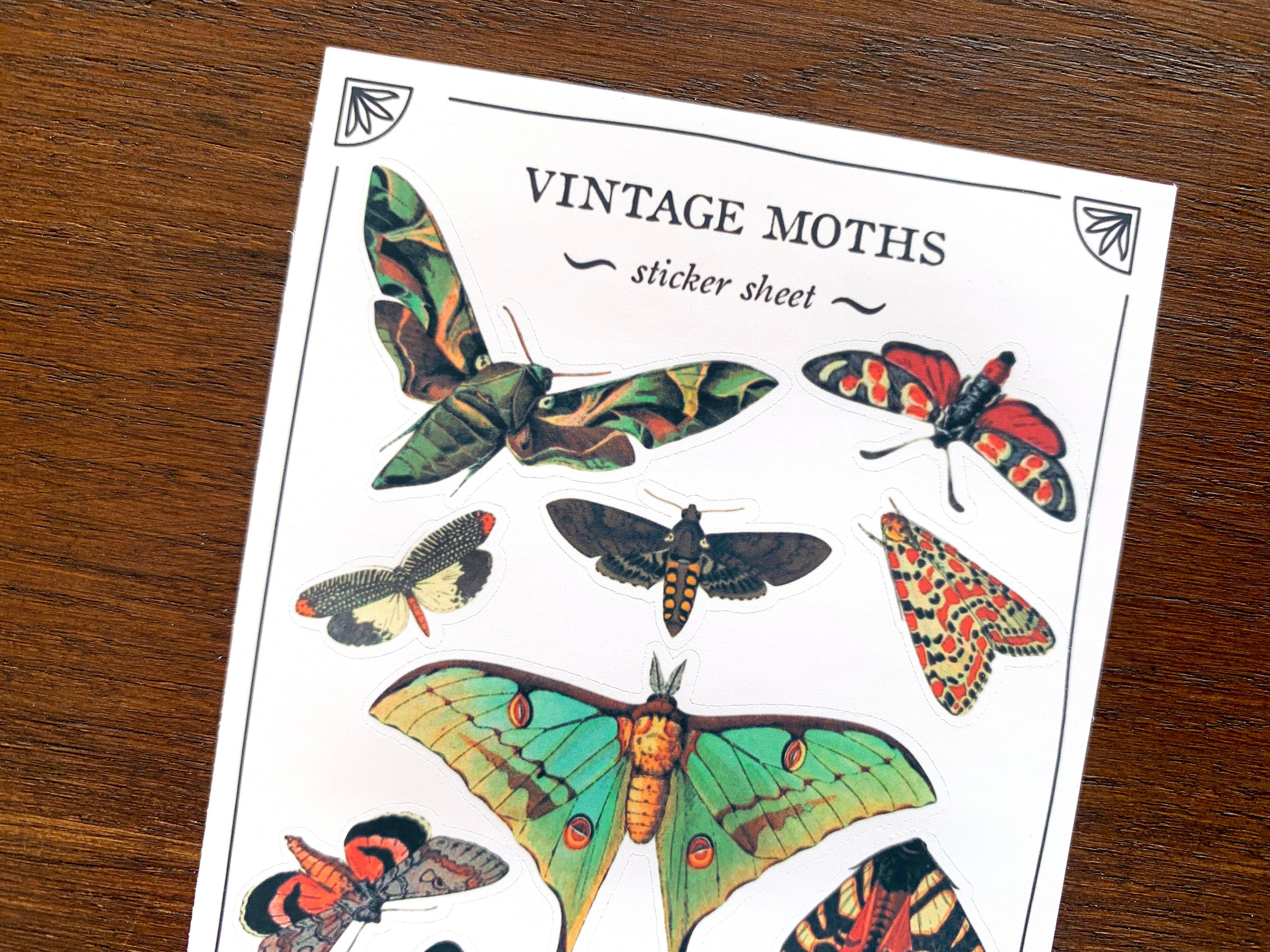 Vintage Moths Sticker Sheet