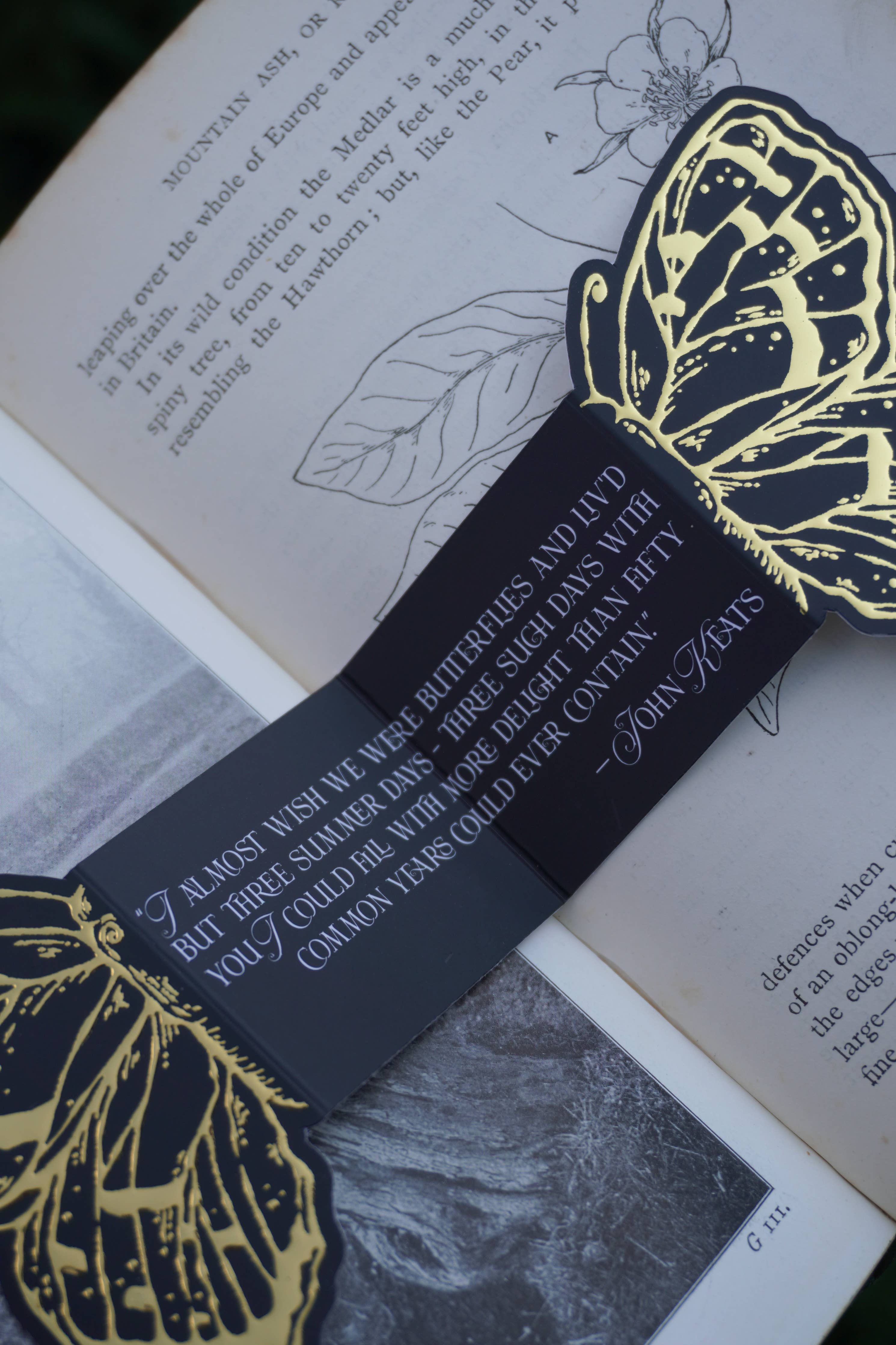 3D Gold Foil Butterfly Foldable Bookmark - Tooth & Toad