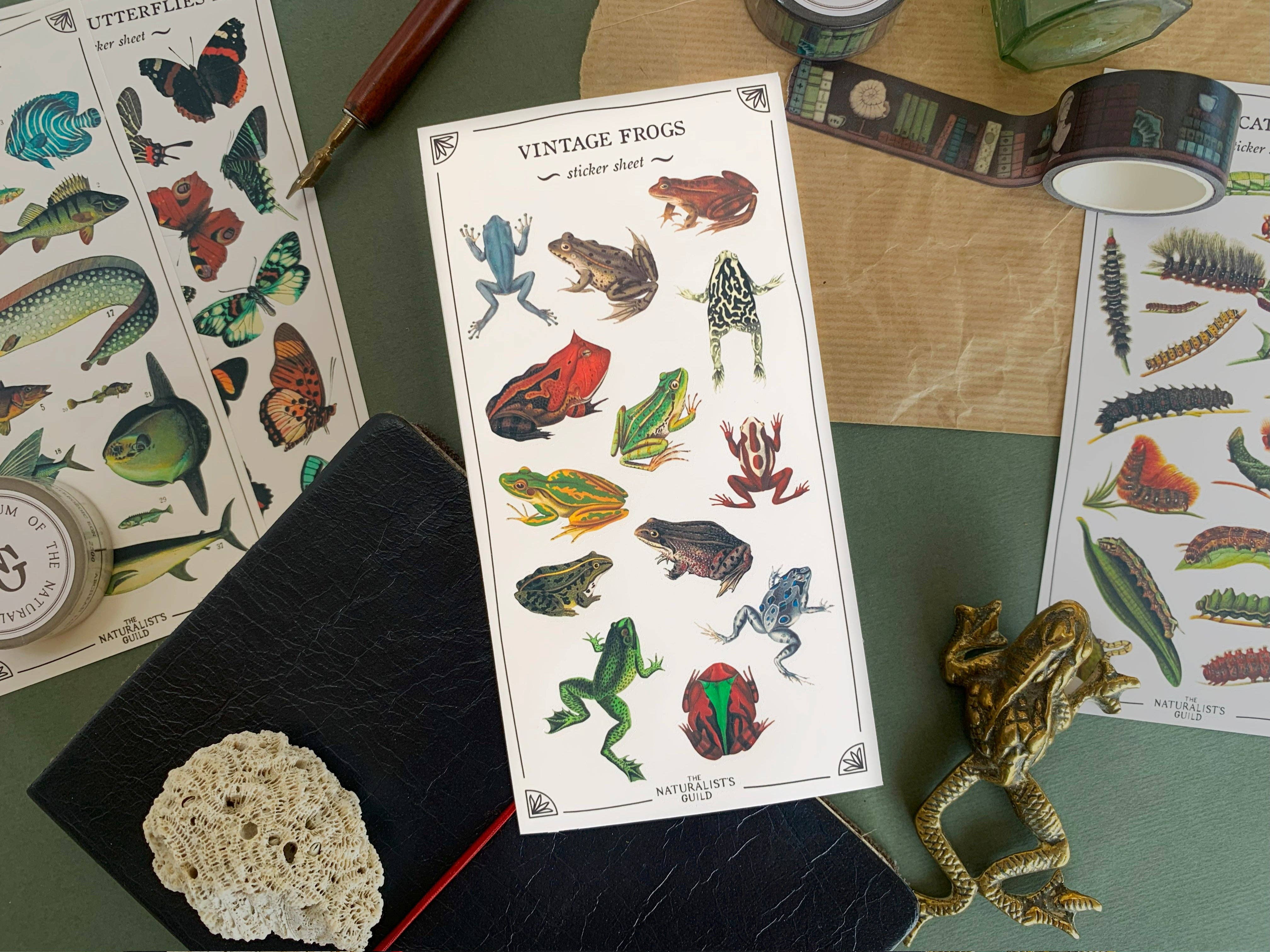 Vintage Frogs Sticker Sheet