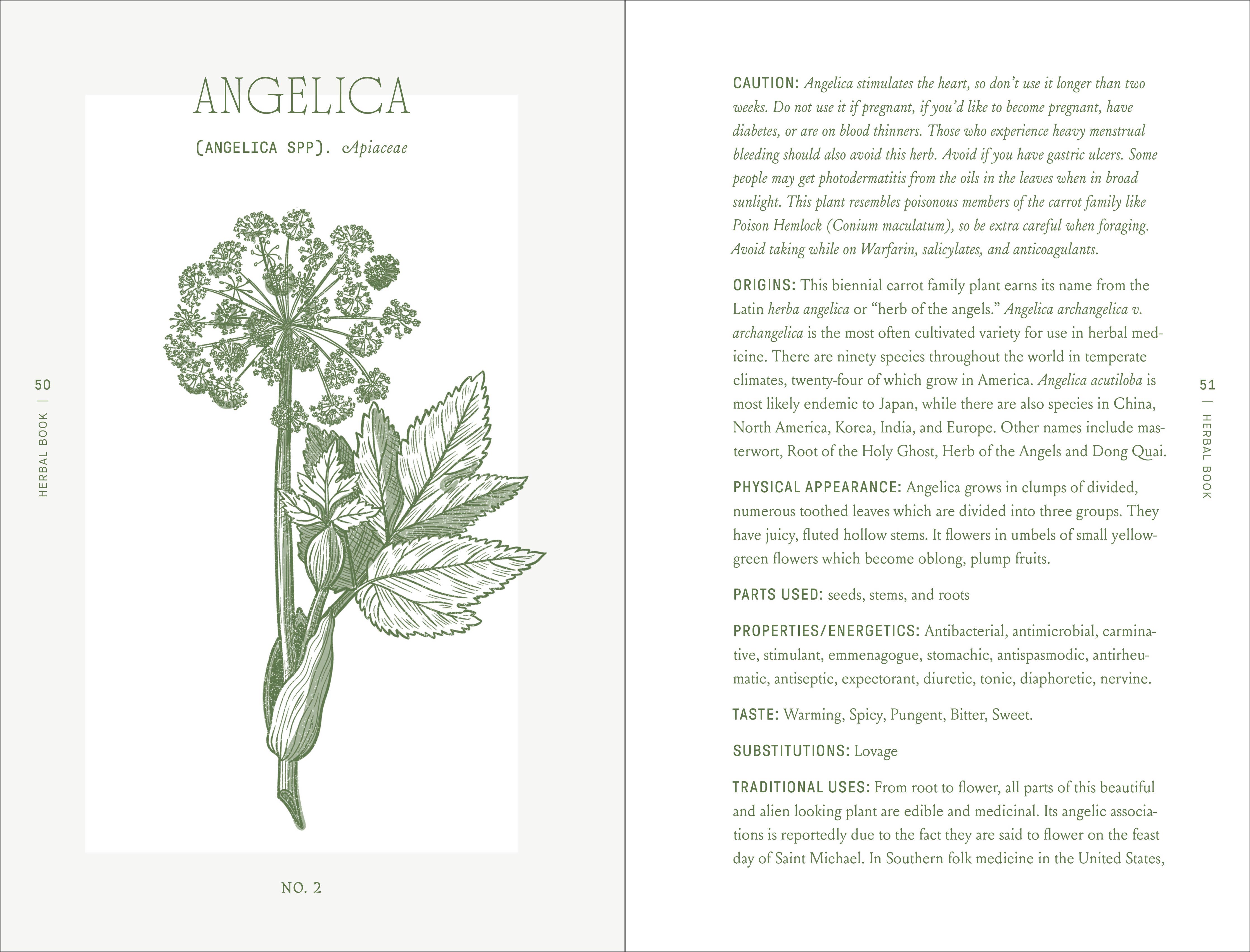 The Complete Folk Herbal: An Illustrated Guide to Natural Remedies and Everyday Healing