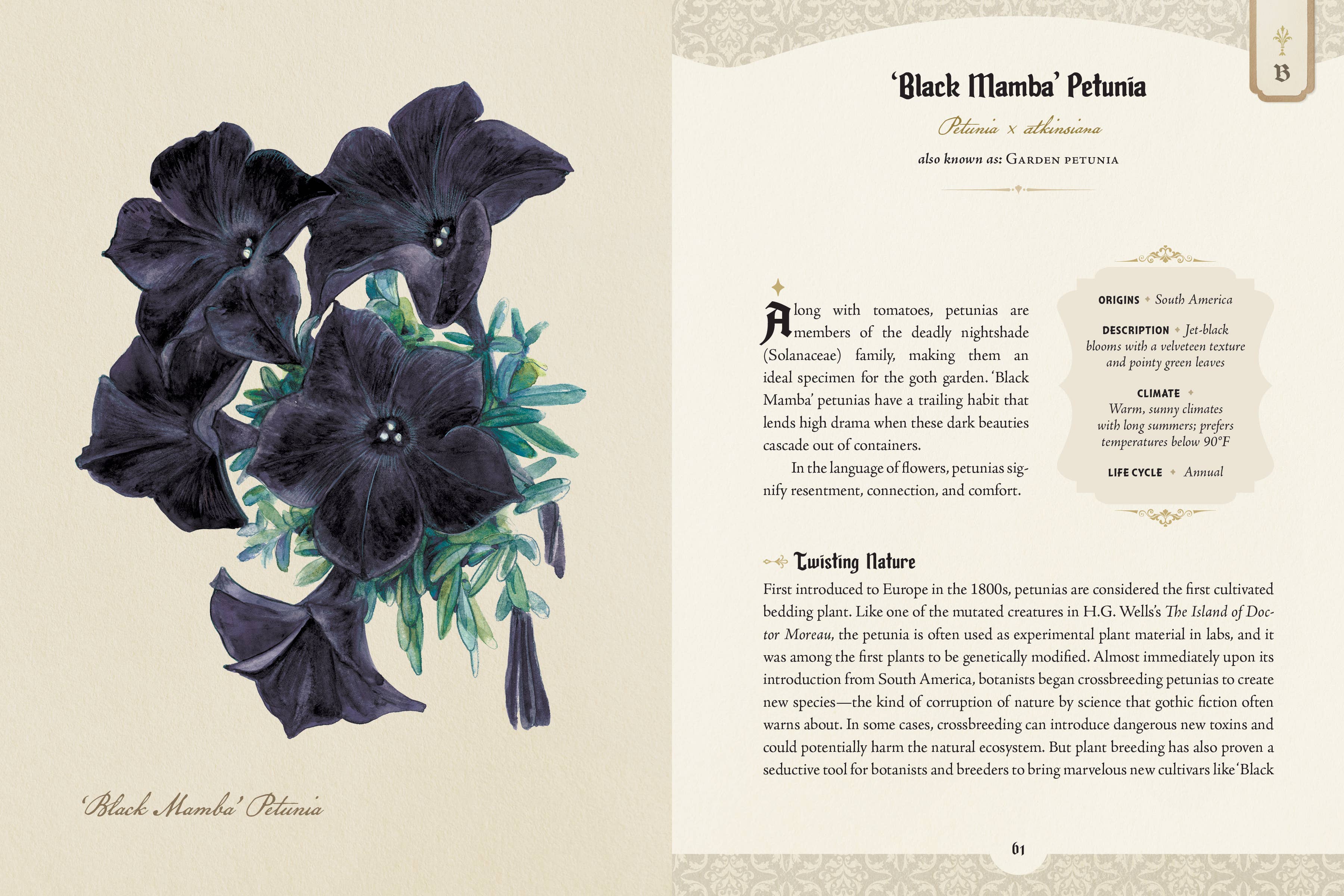 The Goth Garden by Felicia Feaster