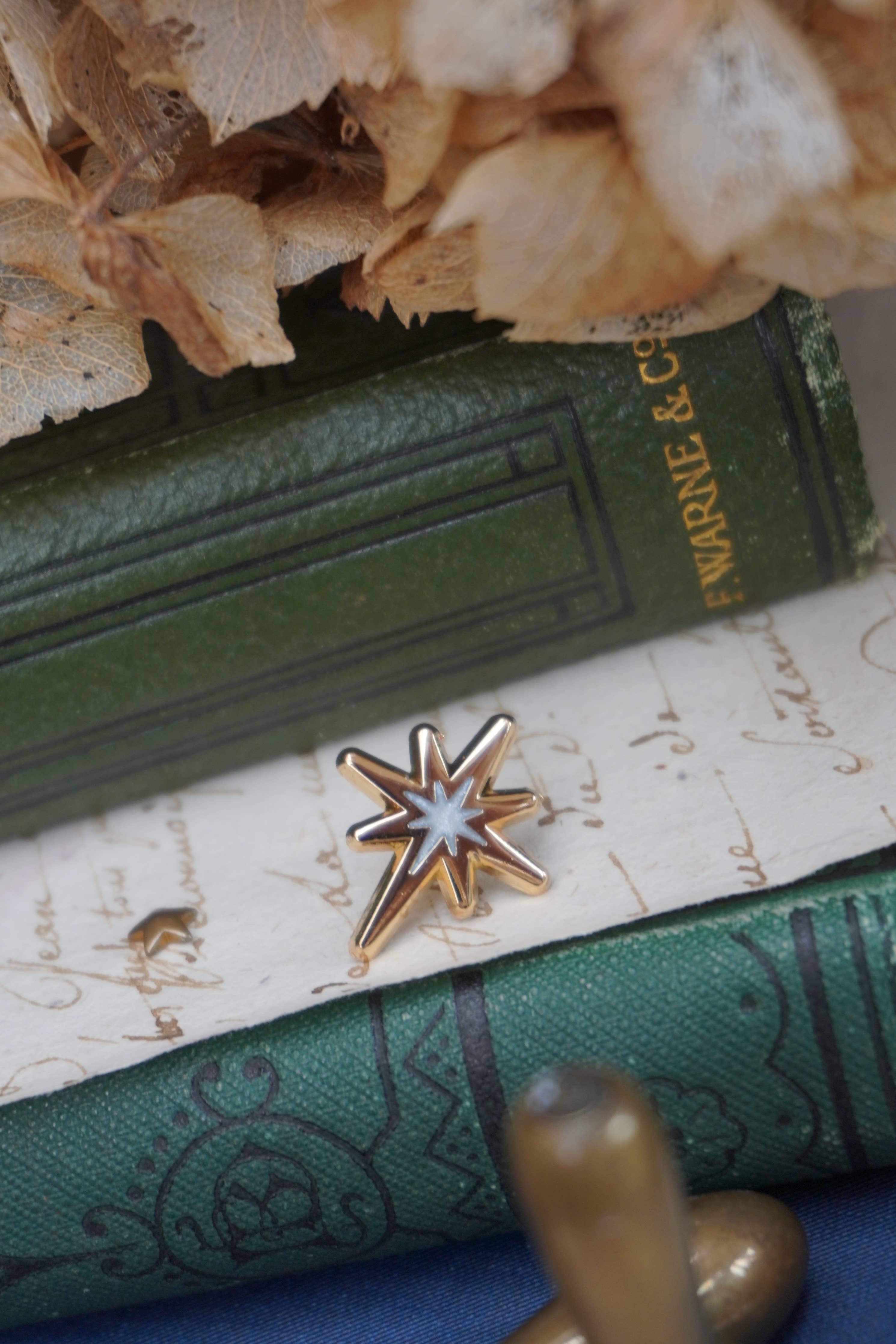 Mini Fallen Star Enamel Pin - Tooth & Toad