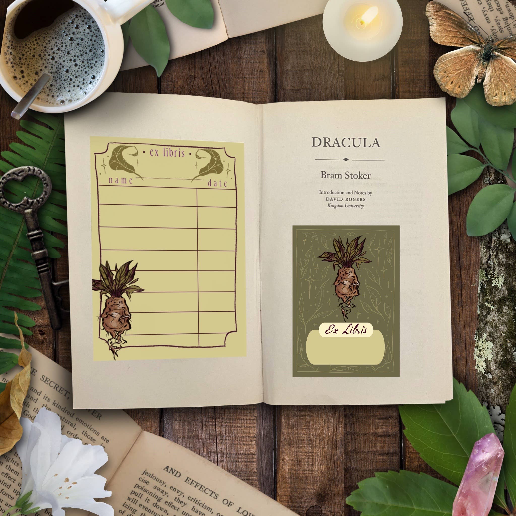 Mandrake Book Plate Sticker