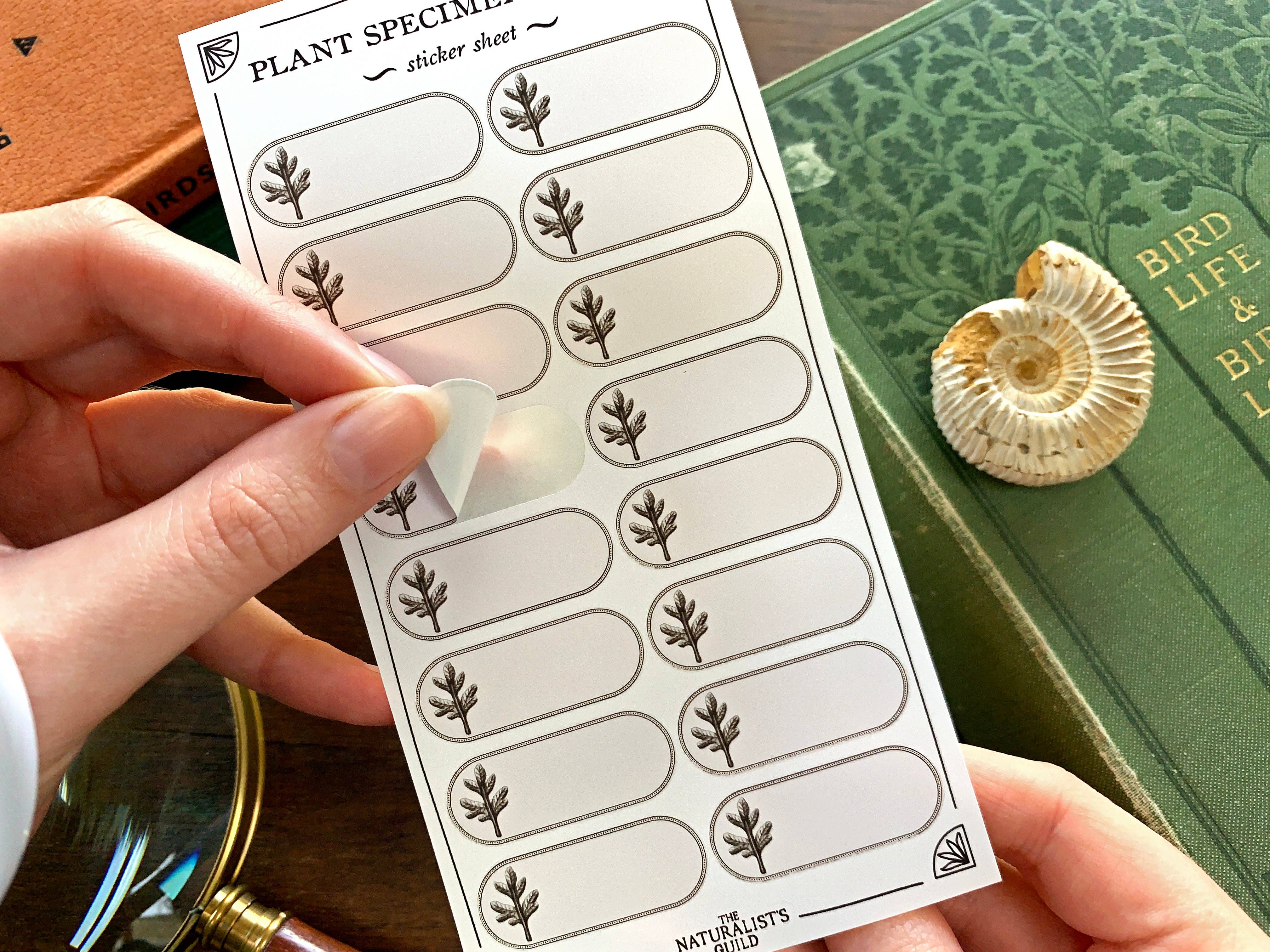 Plant Specimen Label Sheet