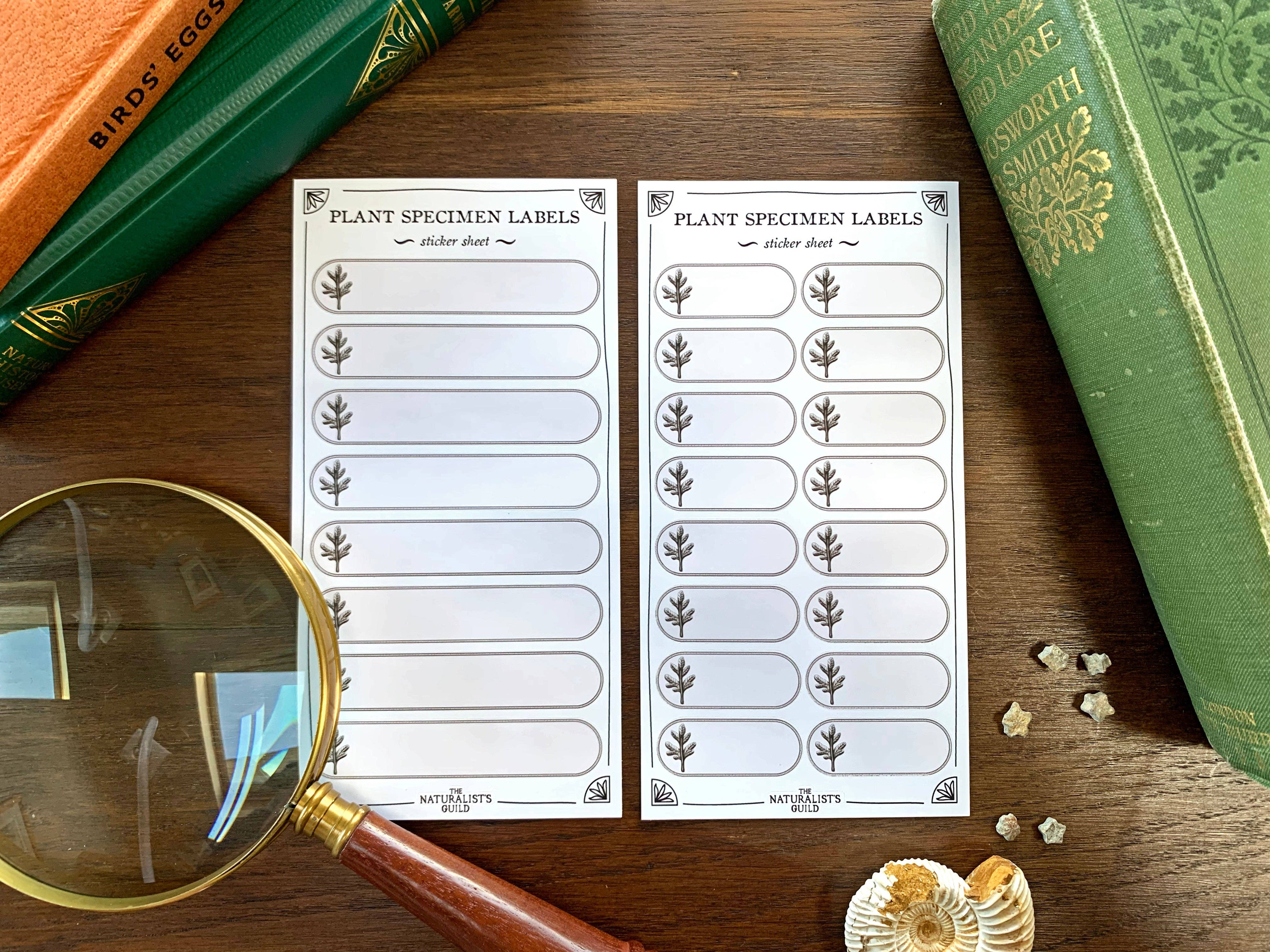 Plant Specimen Label Sheet