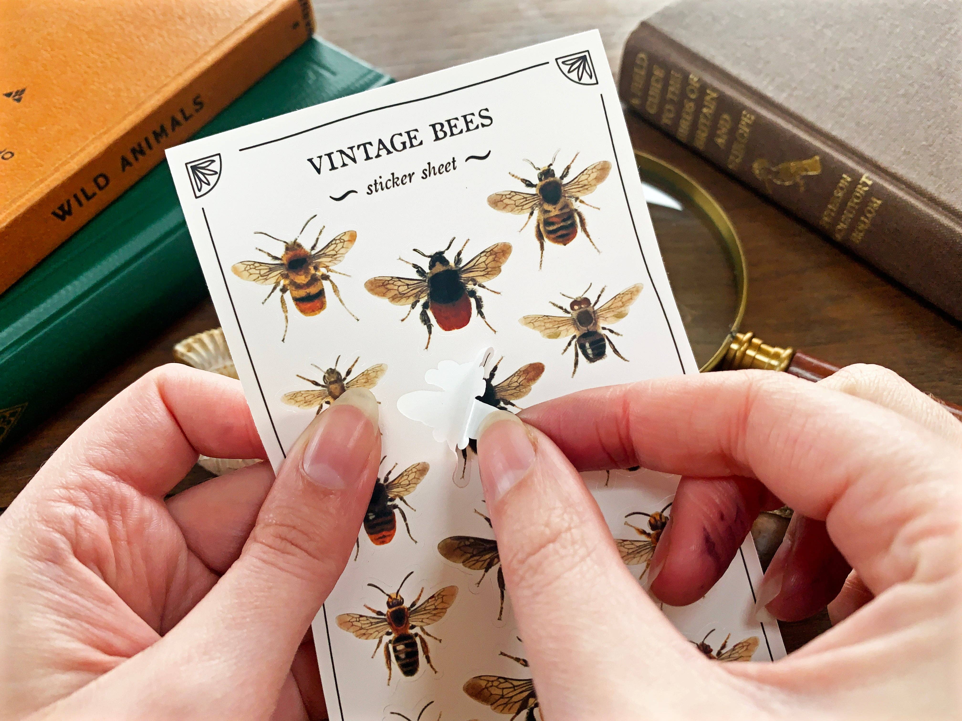 Vintage Bees Sticker Sheet