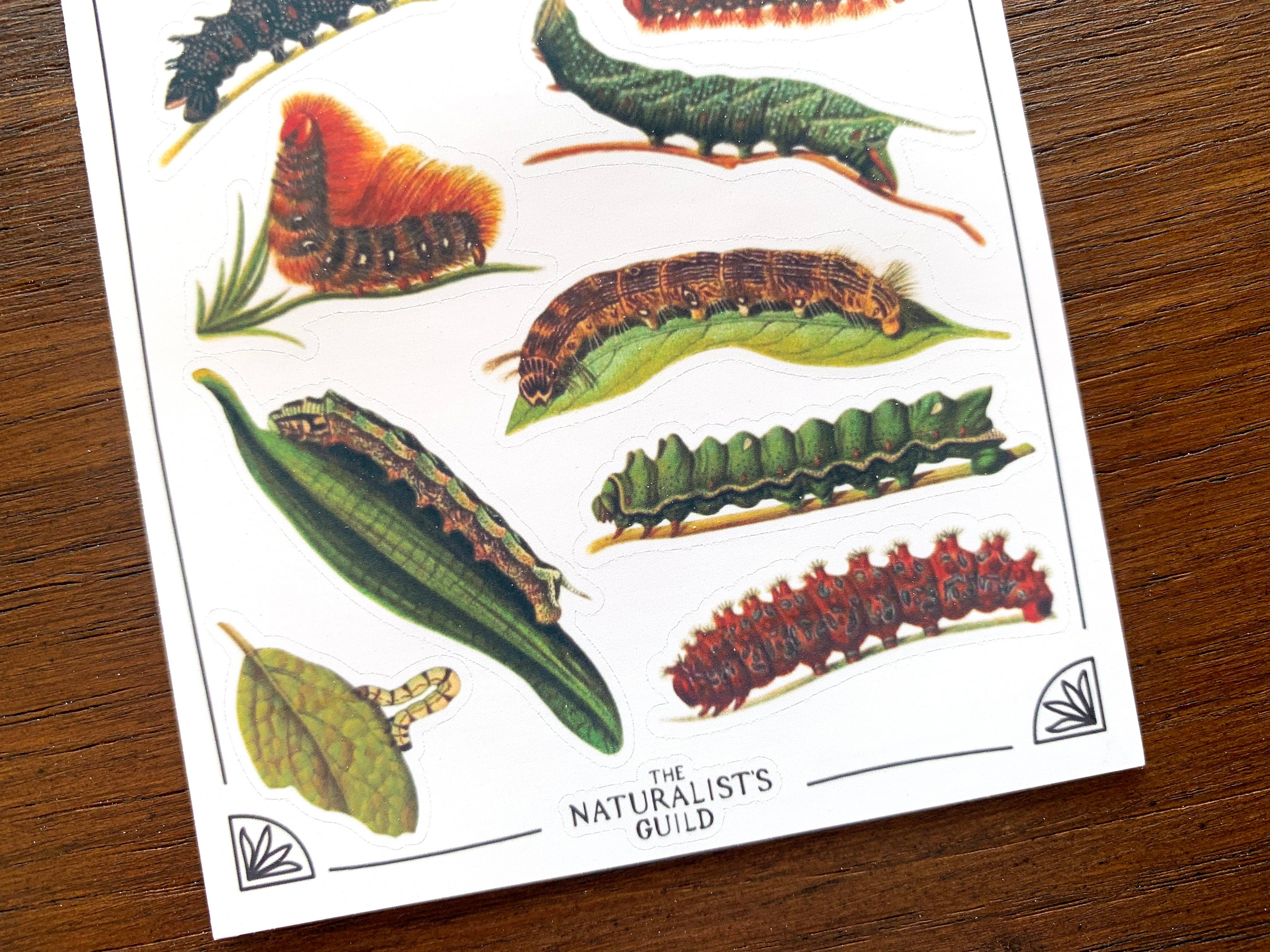 Vintage Caterpillars Sticker Sheet