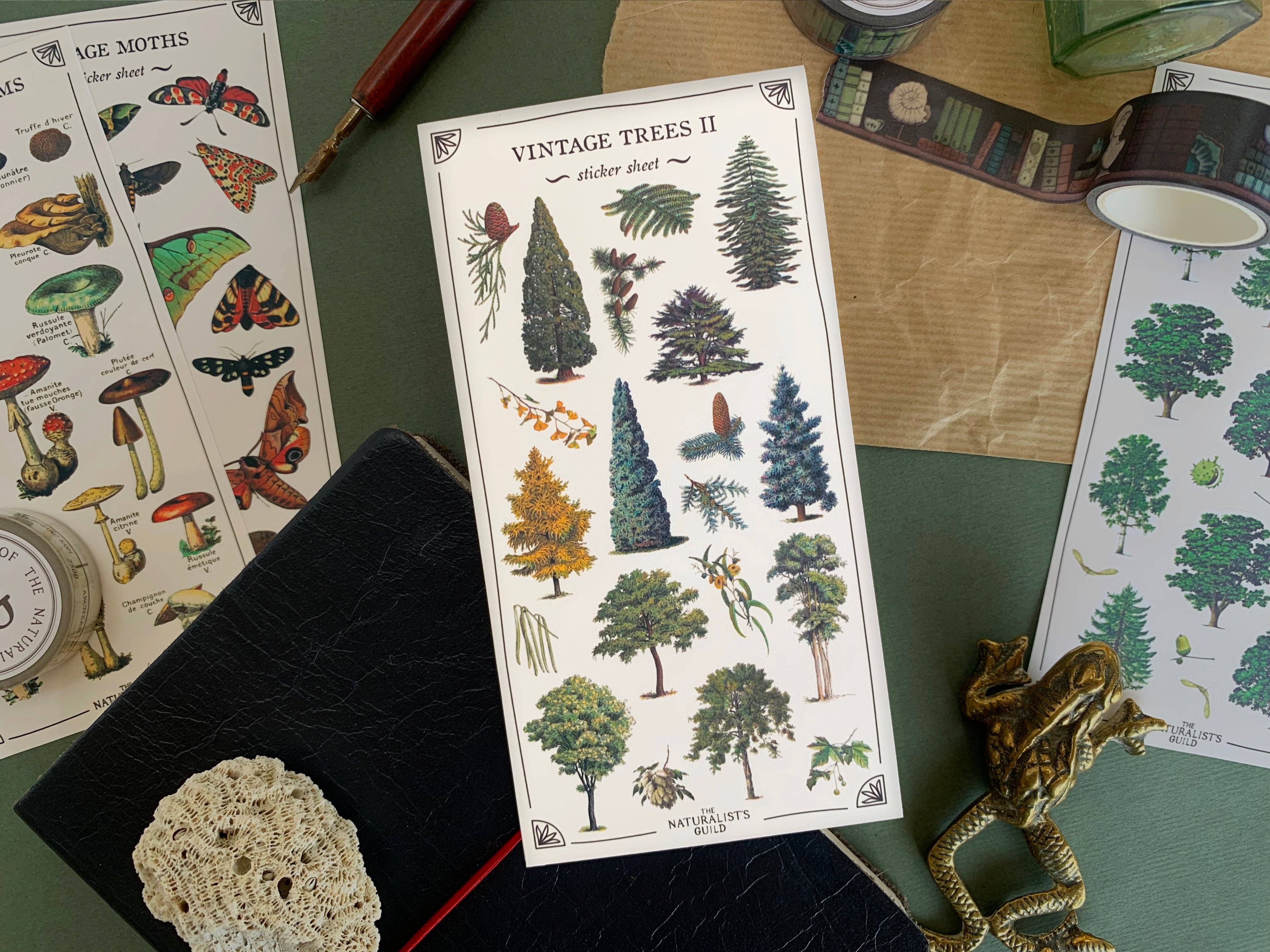 Vintage Trees II Sticker Sheet