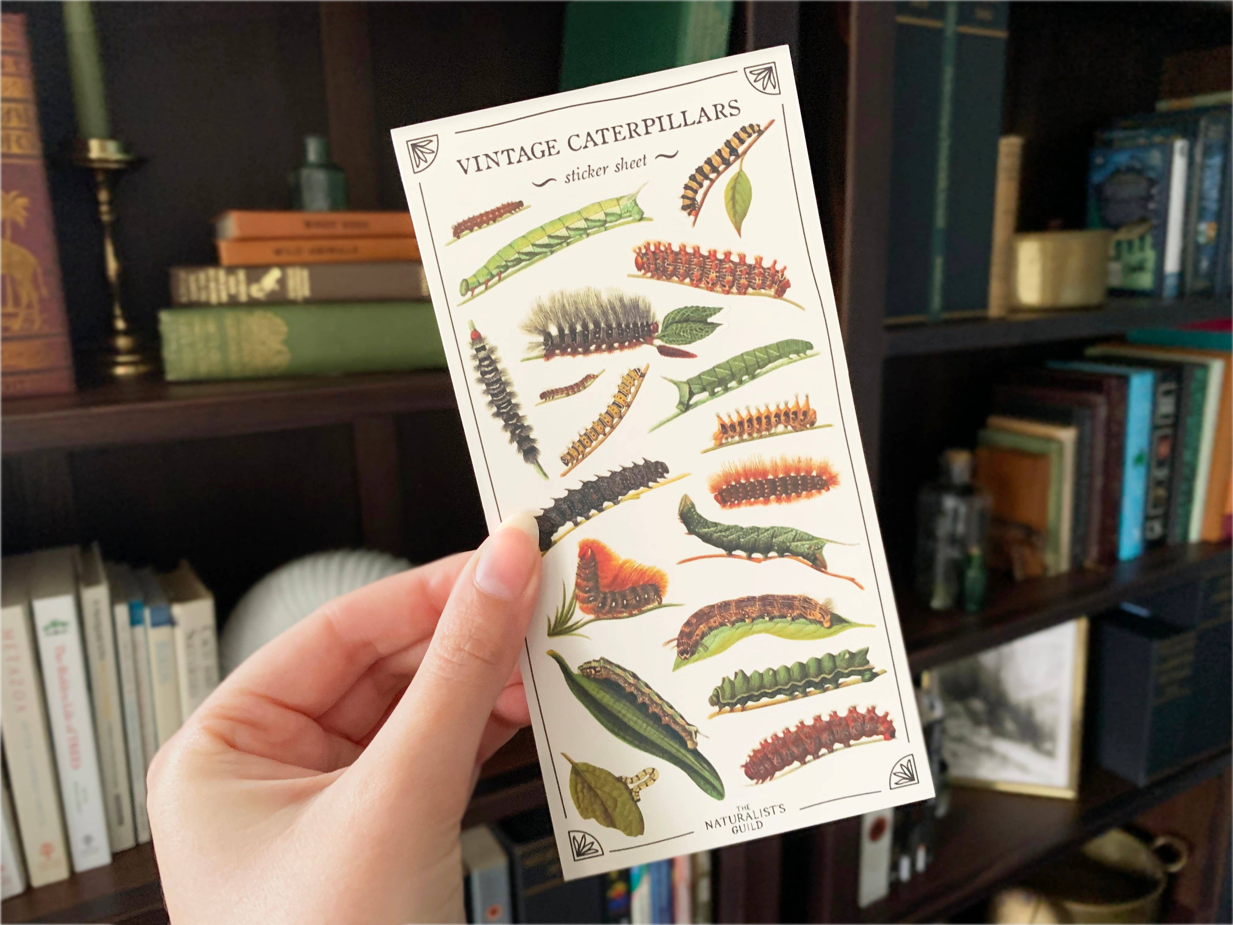 Vintage Caterpillars Sticker Sheet