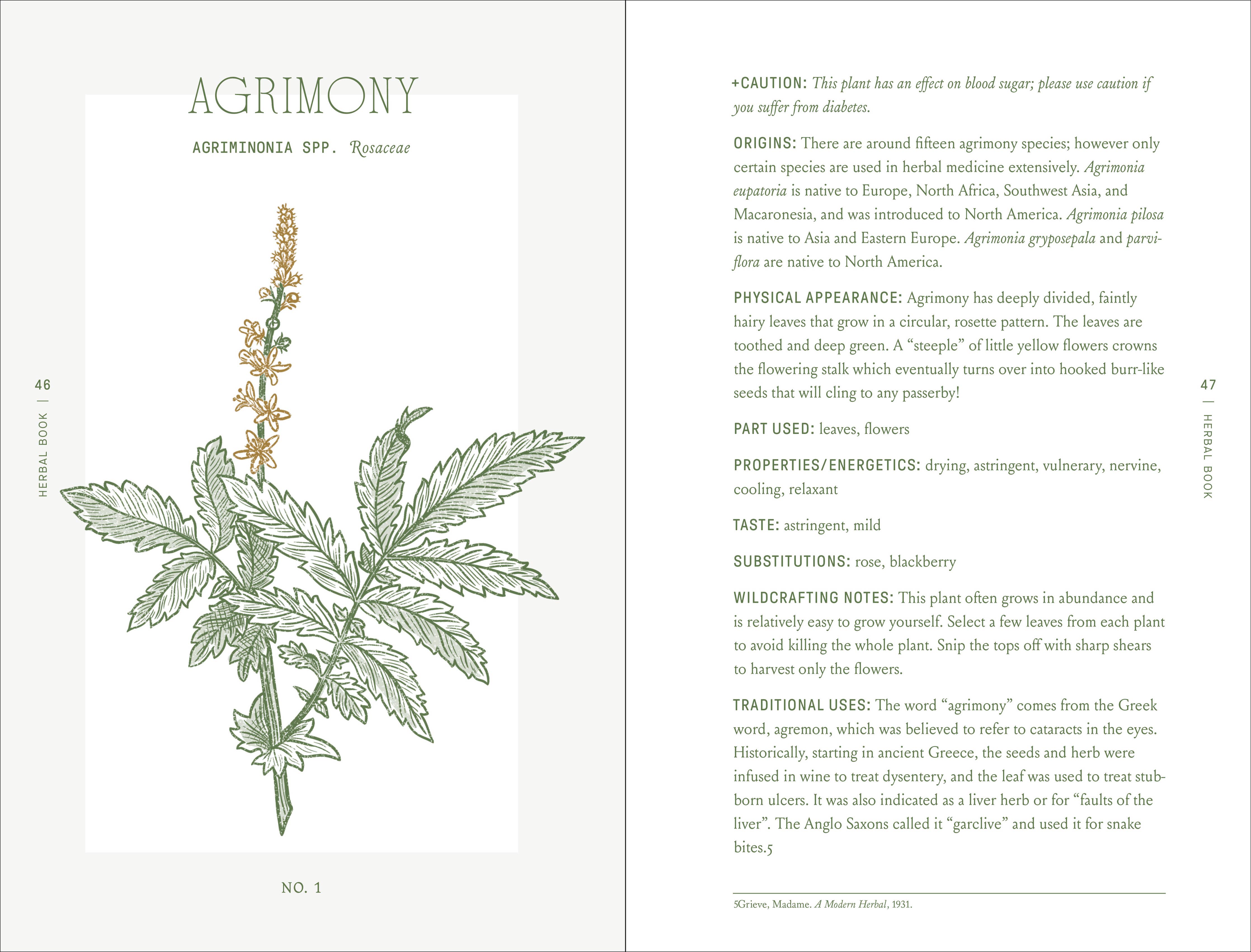 The Complete Folk Herbal: An Illustrated Guide to Natural Remedies and Everyday Healing