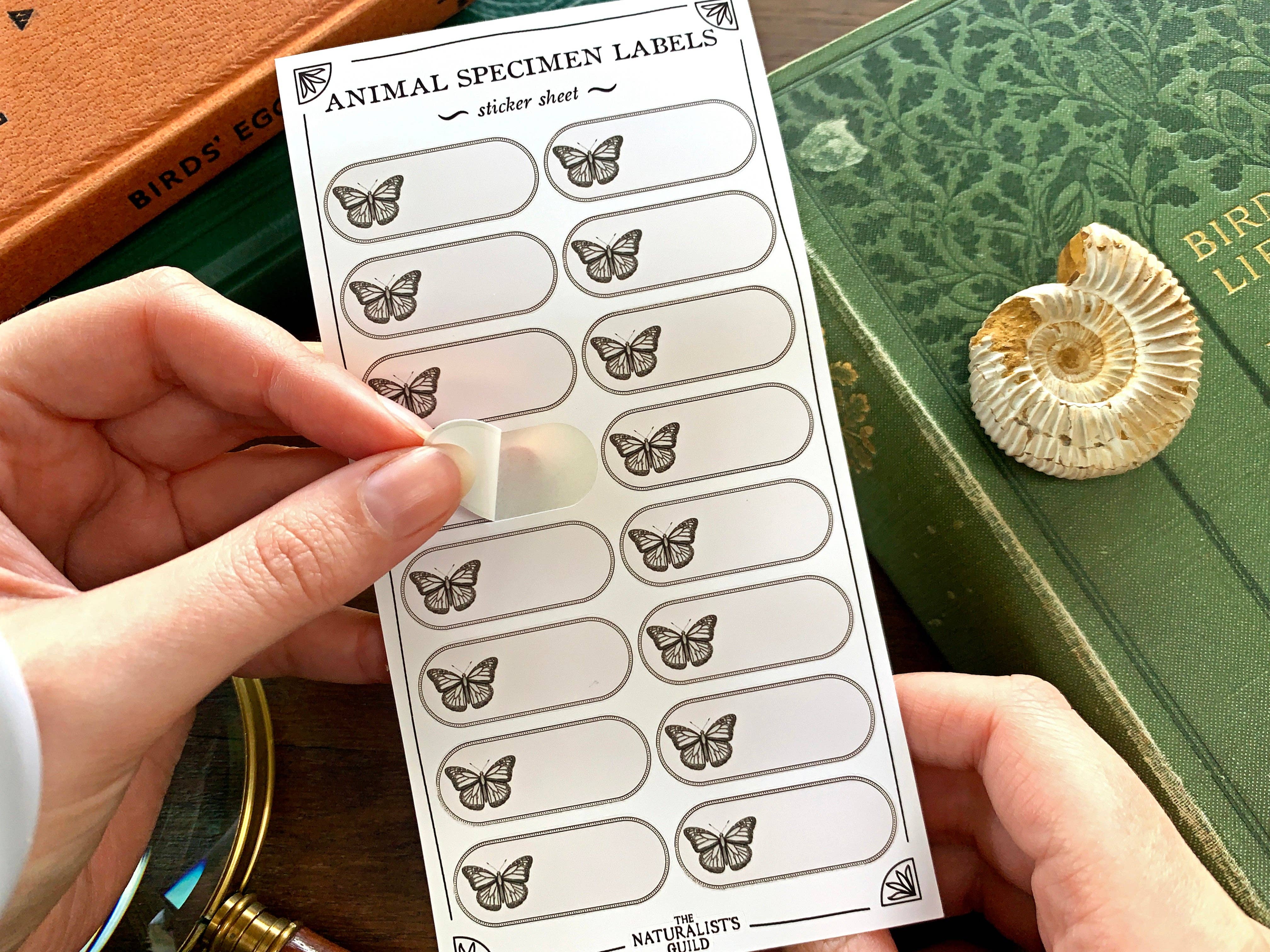 Insect/Animal Specimen Label Sheet