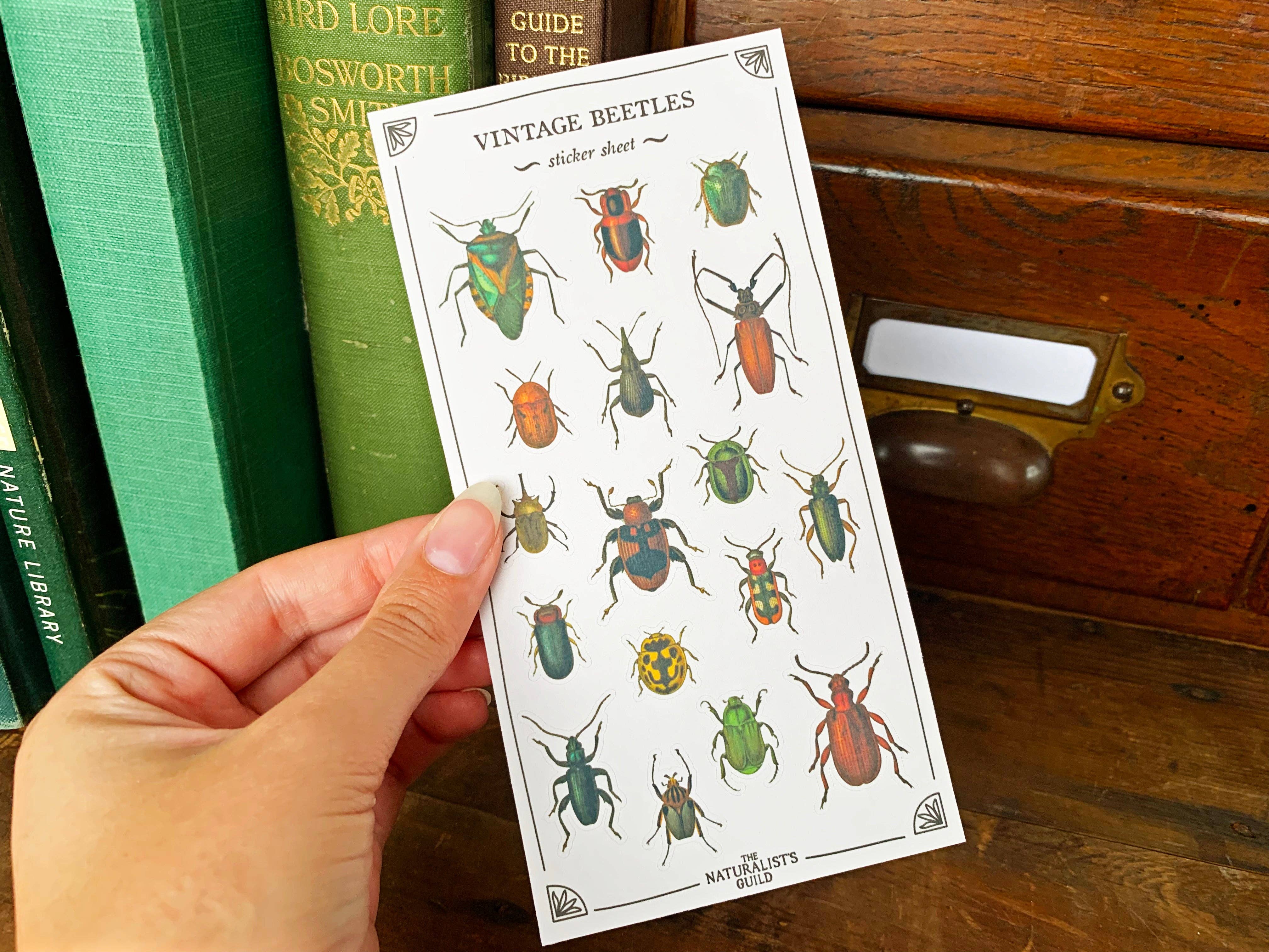 Vintage Beetles Sticker Sheet