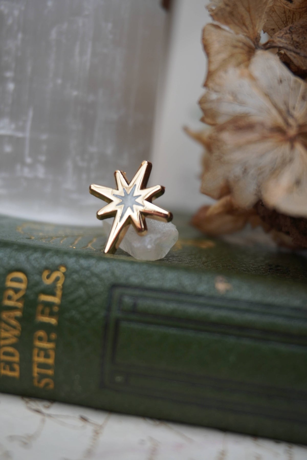 Mini Fallen Star Enamel Pin - Tooth & Toad