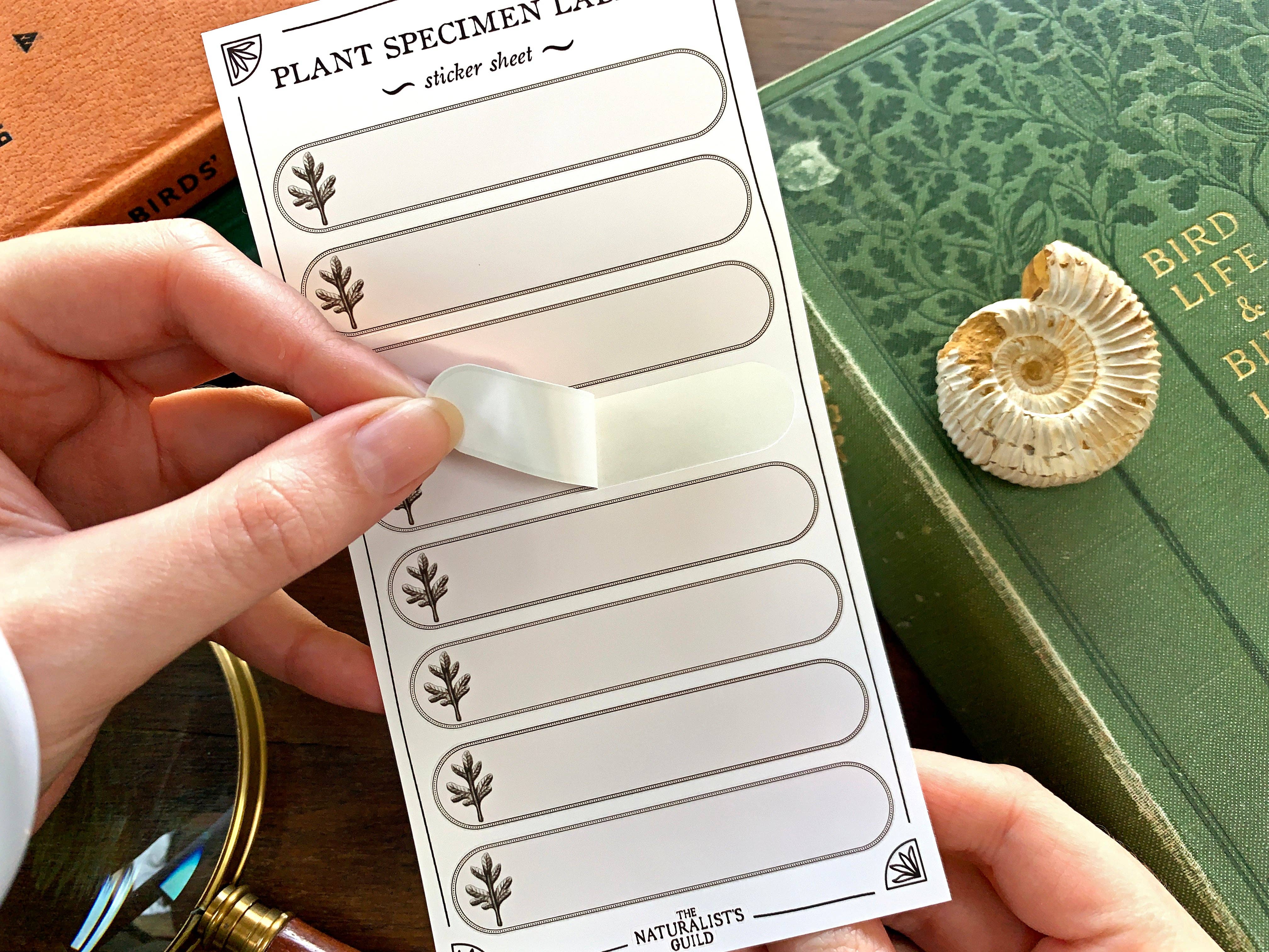 Plant Specimen Label Sheet