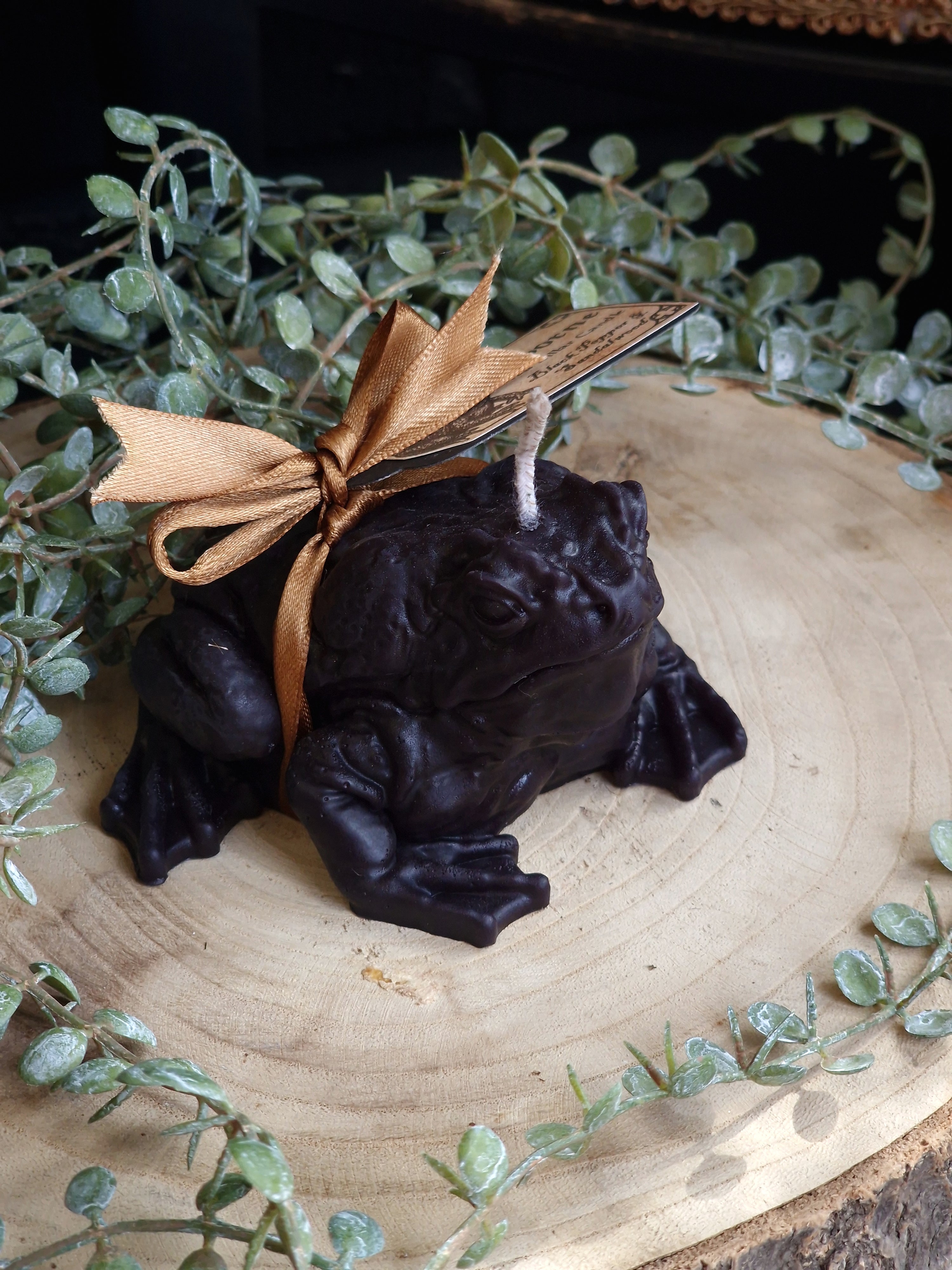 Bogborne Toad Pillar Candle