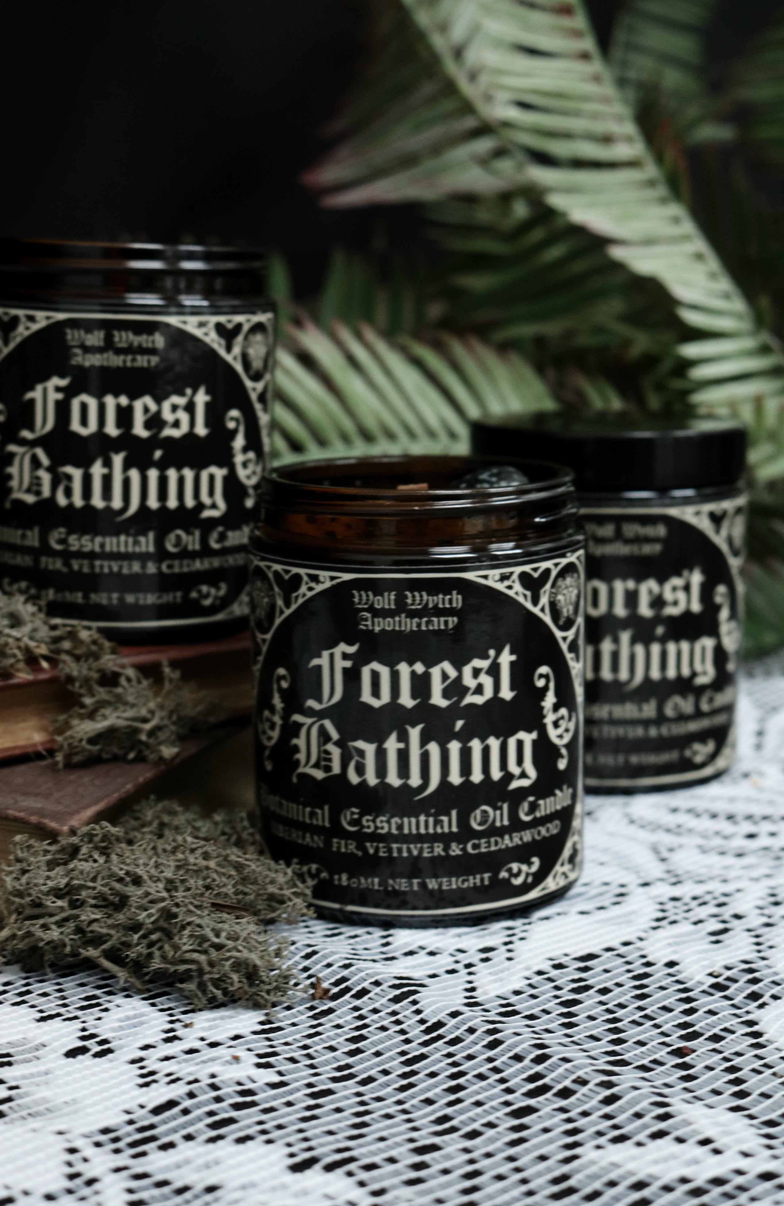 Forest Bathing Botanical Candle | Fir, Vetiver, Cedarwood