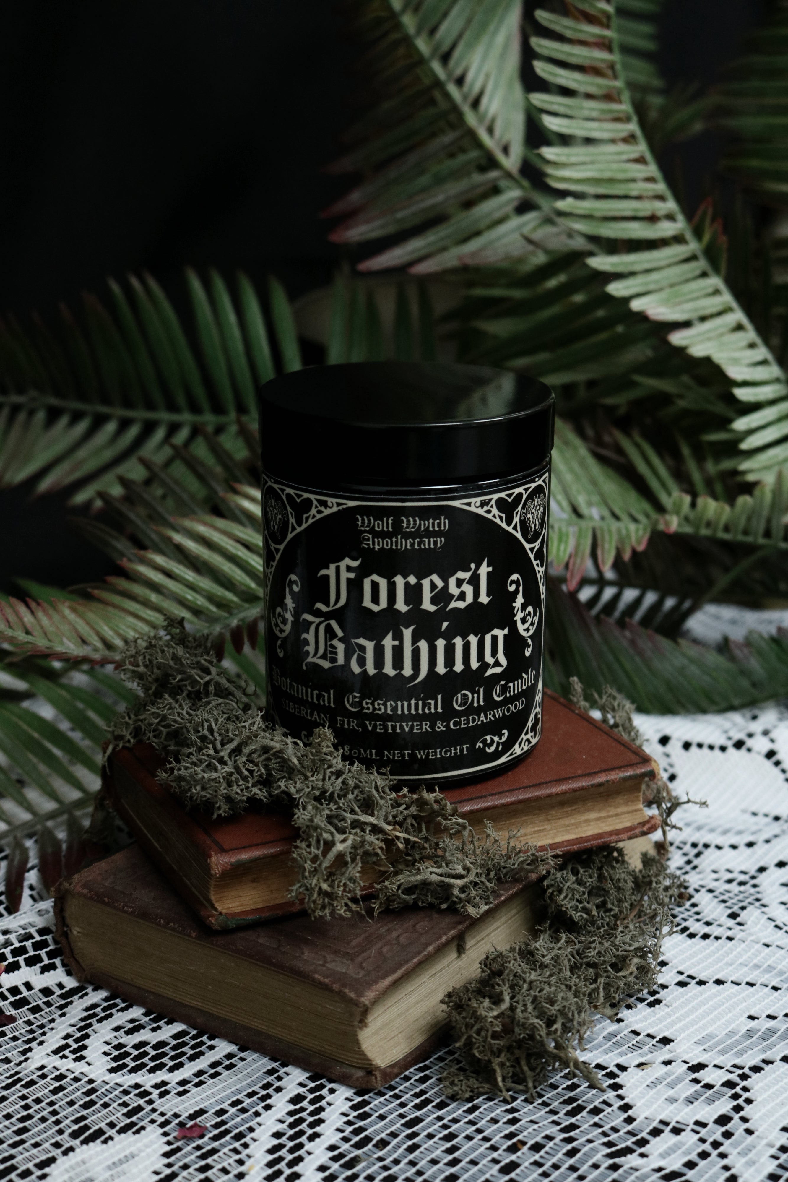 Forest Bathing Botanical Candle | Fir, Vetiver, Cedarwood
