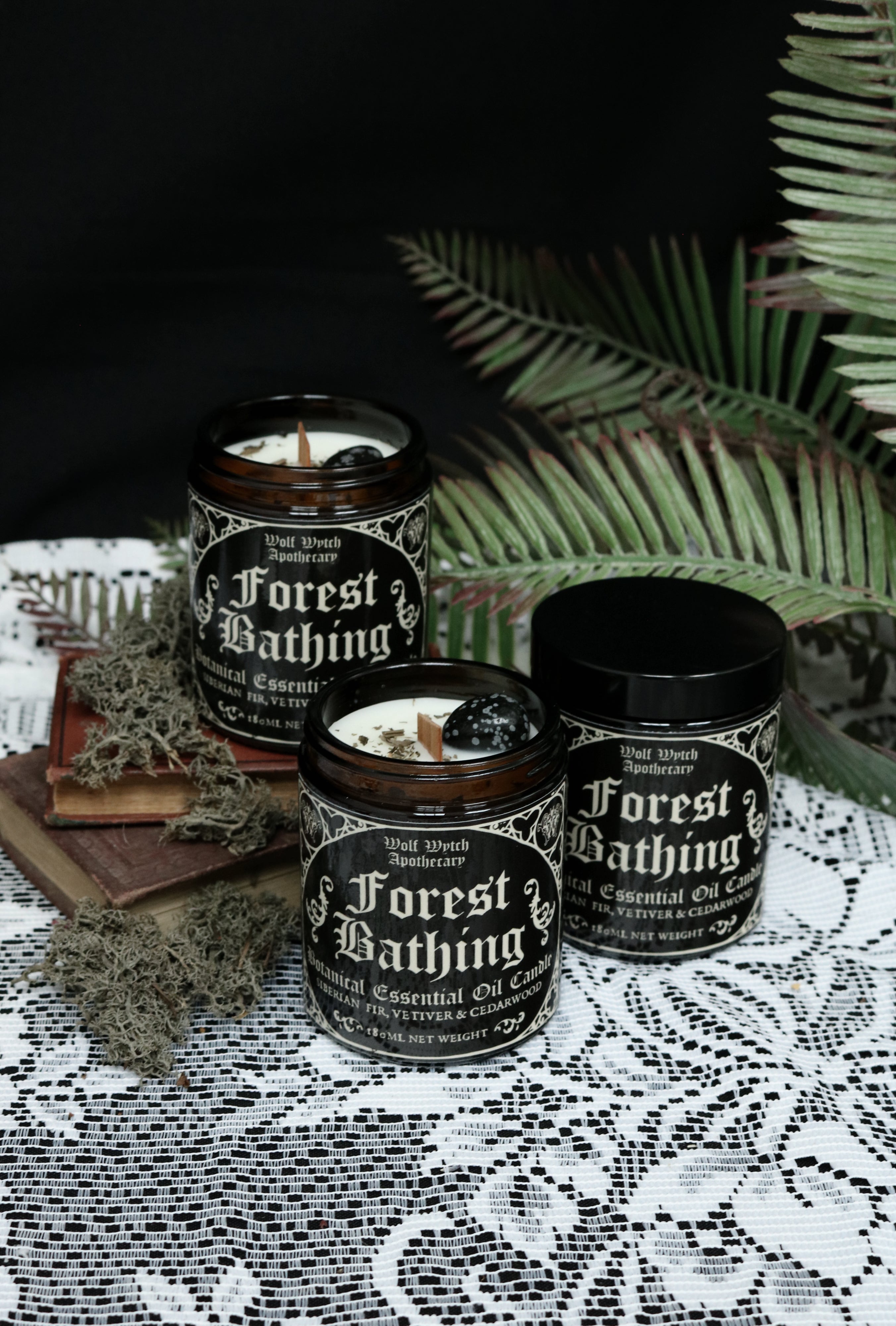 Forest Bathing Botanical Candle | Fir, Vetiver, Cedarwood