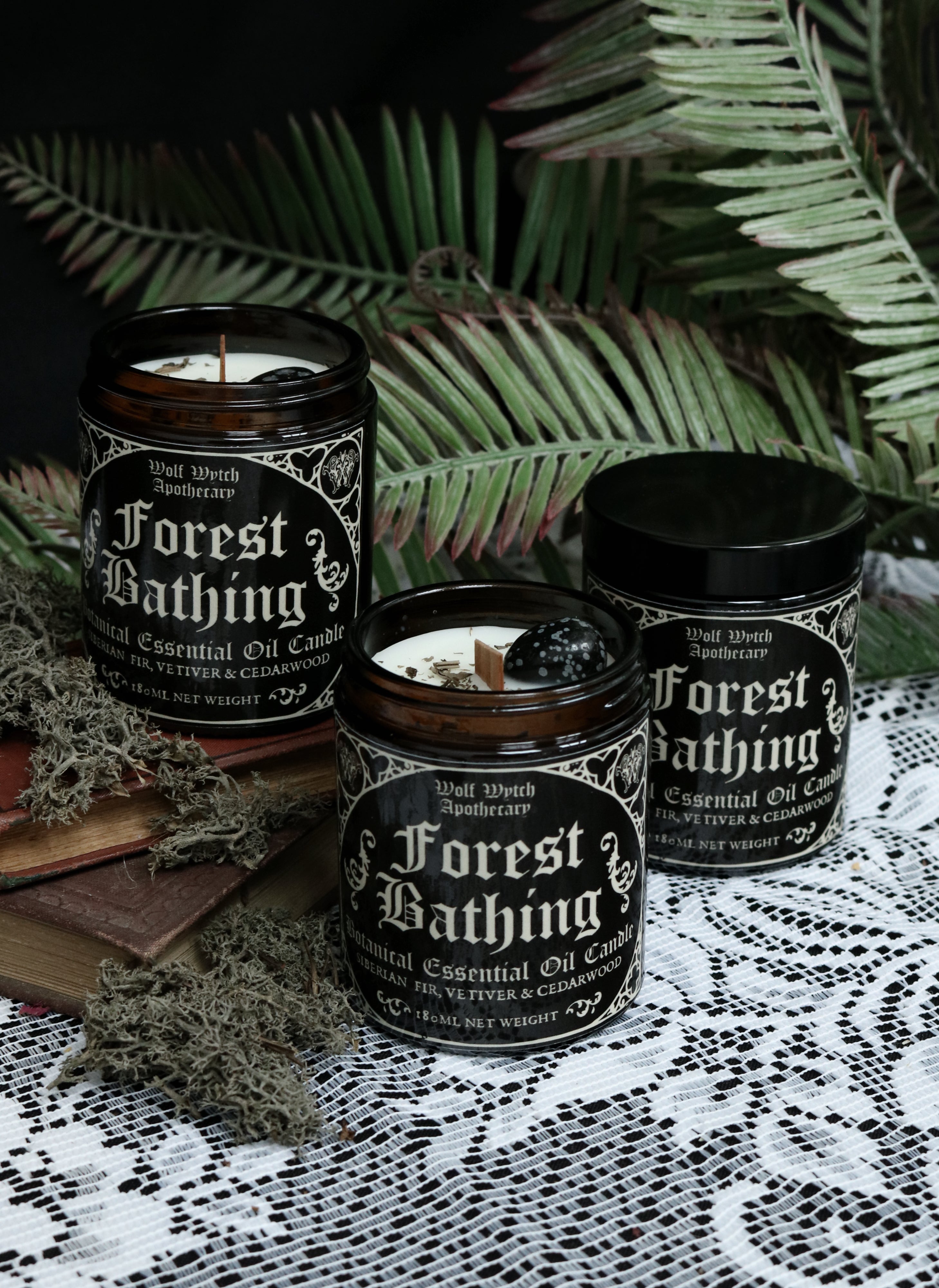 Forest Bathing Botanical Candle | Fir, Vetiver, Cedarwood