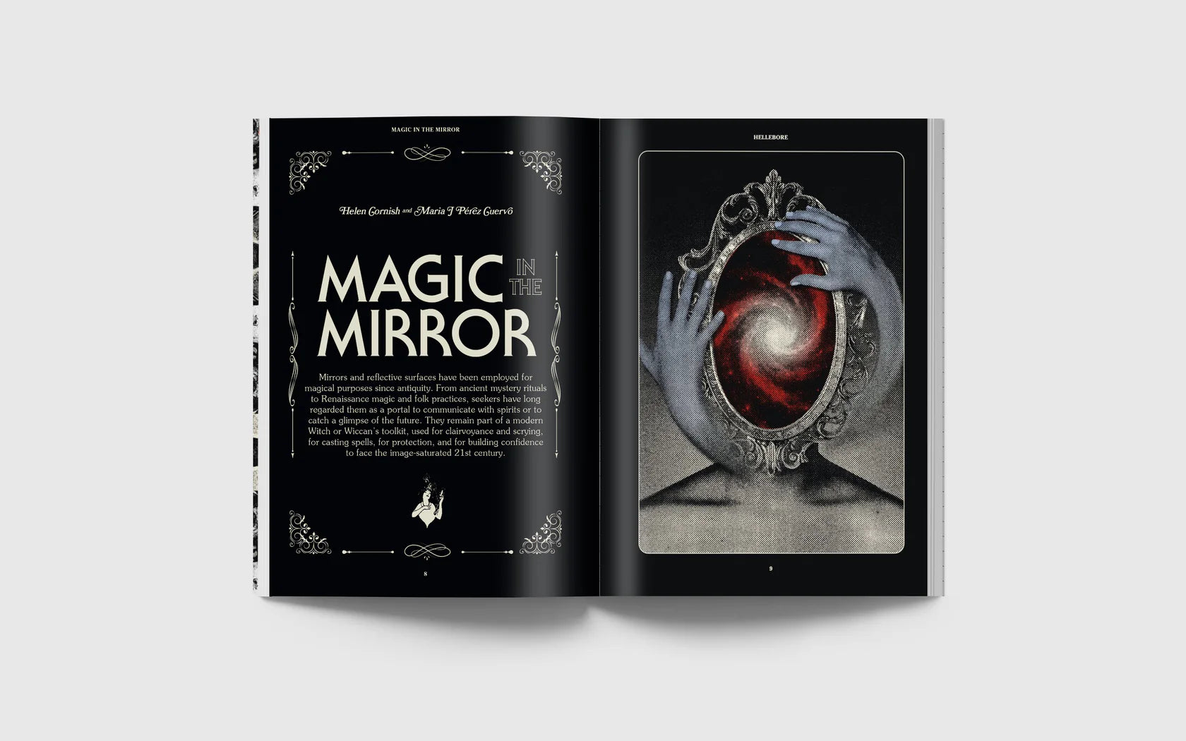 Hellebore #14: The Mirror Issue