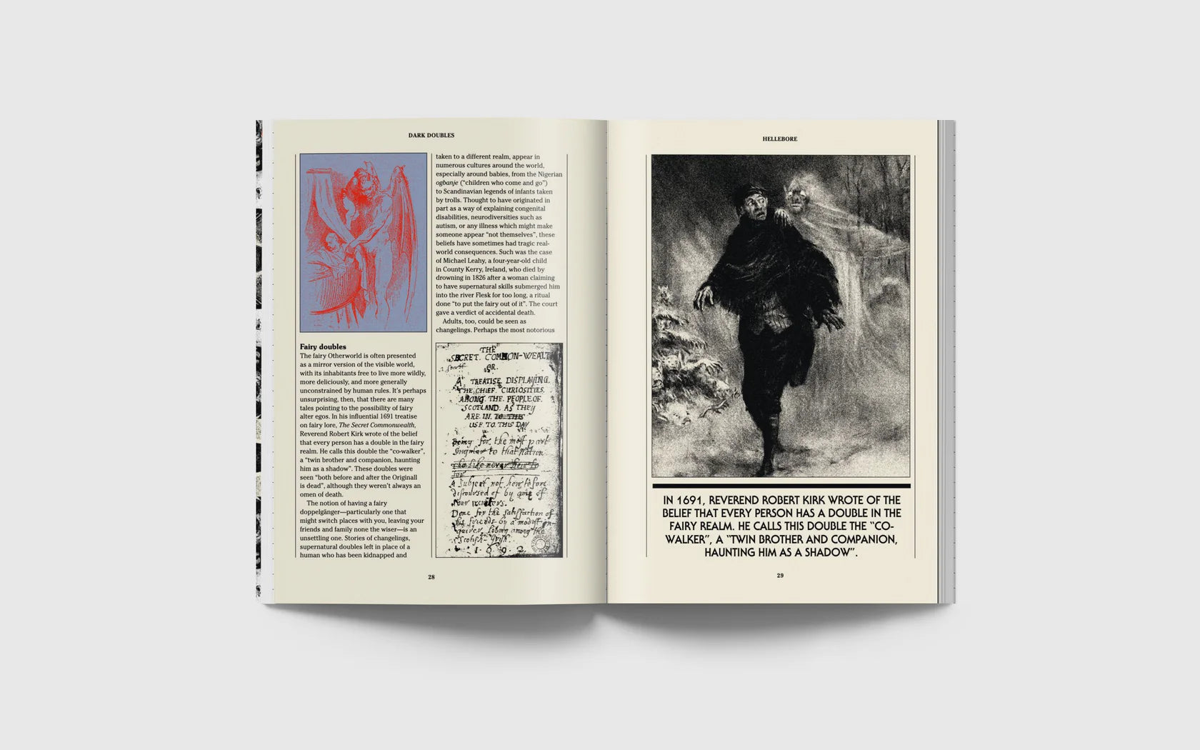 Hellebore #14: The Mirror Issue
