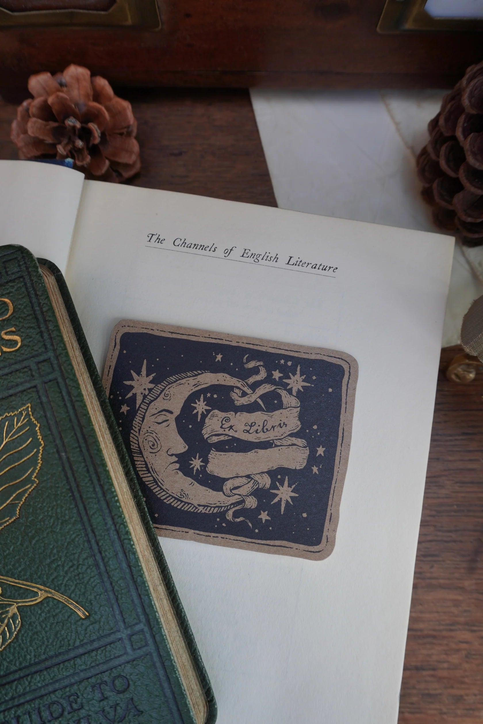 Ex Libris Moon Sticker by Tooth & Toad