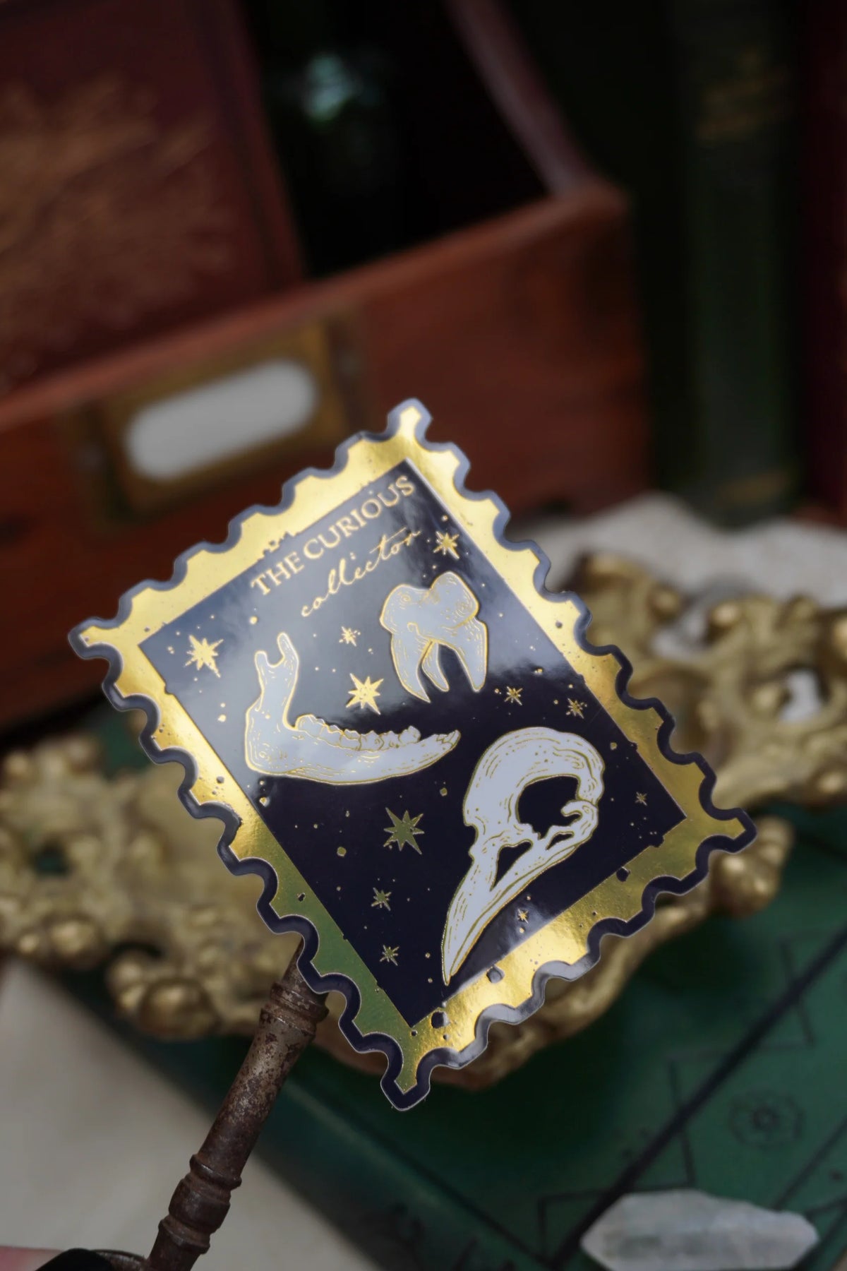 The Curious Collector Bones Stamp Sticker by Tooth & Toad – Wolf Wytch
