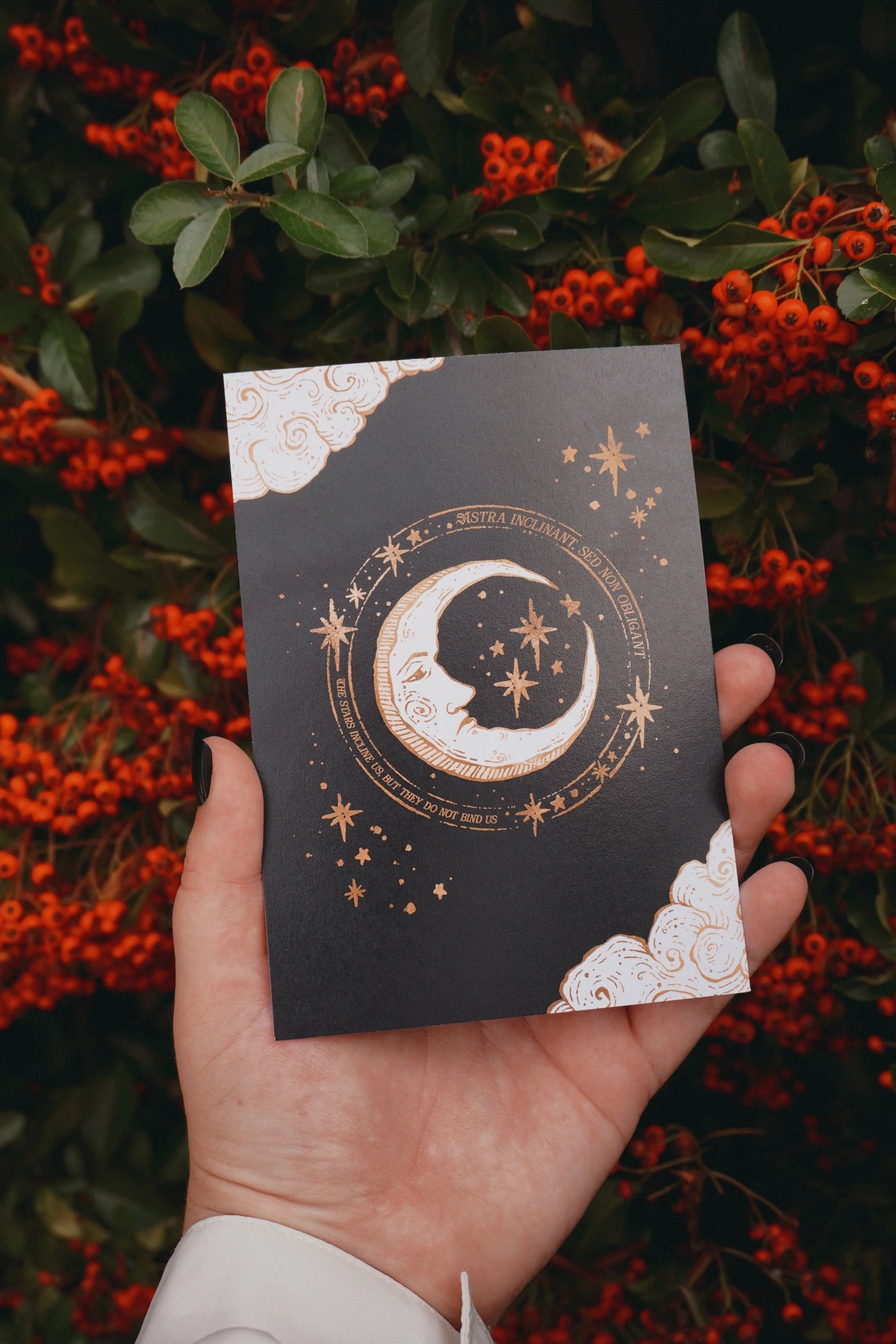 Medieval Moon Postcard Print by Tooth & Toad